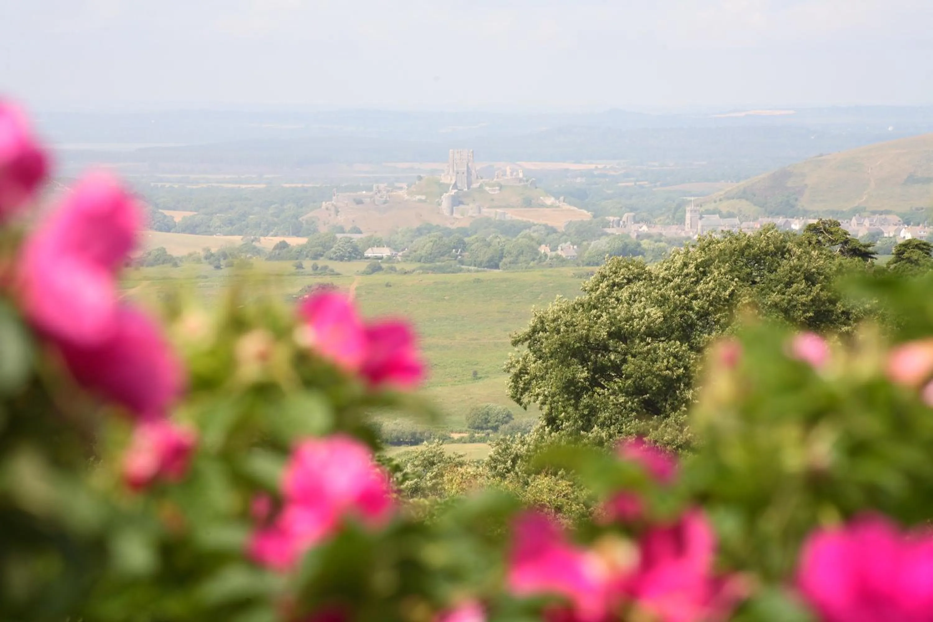 Garden view in The Scott Arms