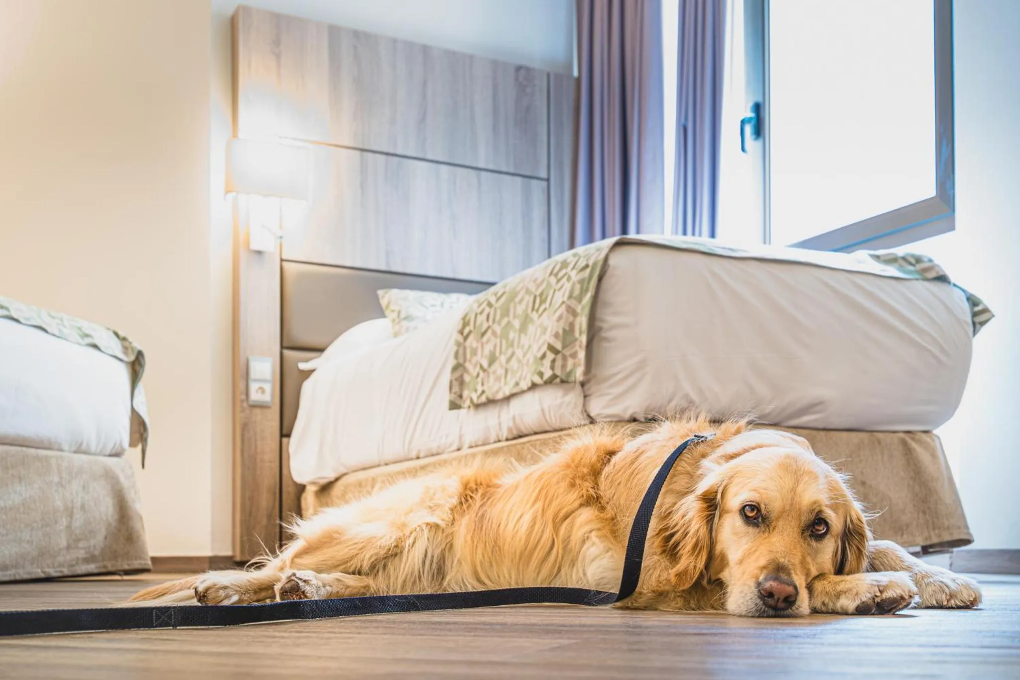 Bed in Hotel Princesa Parc