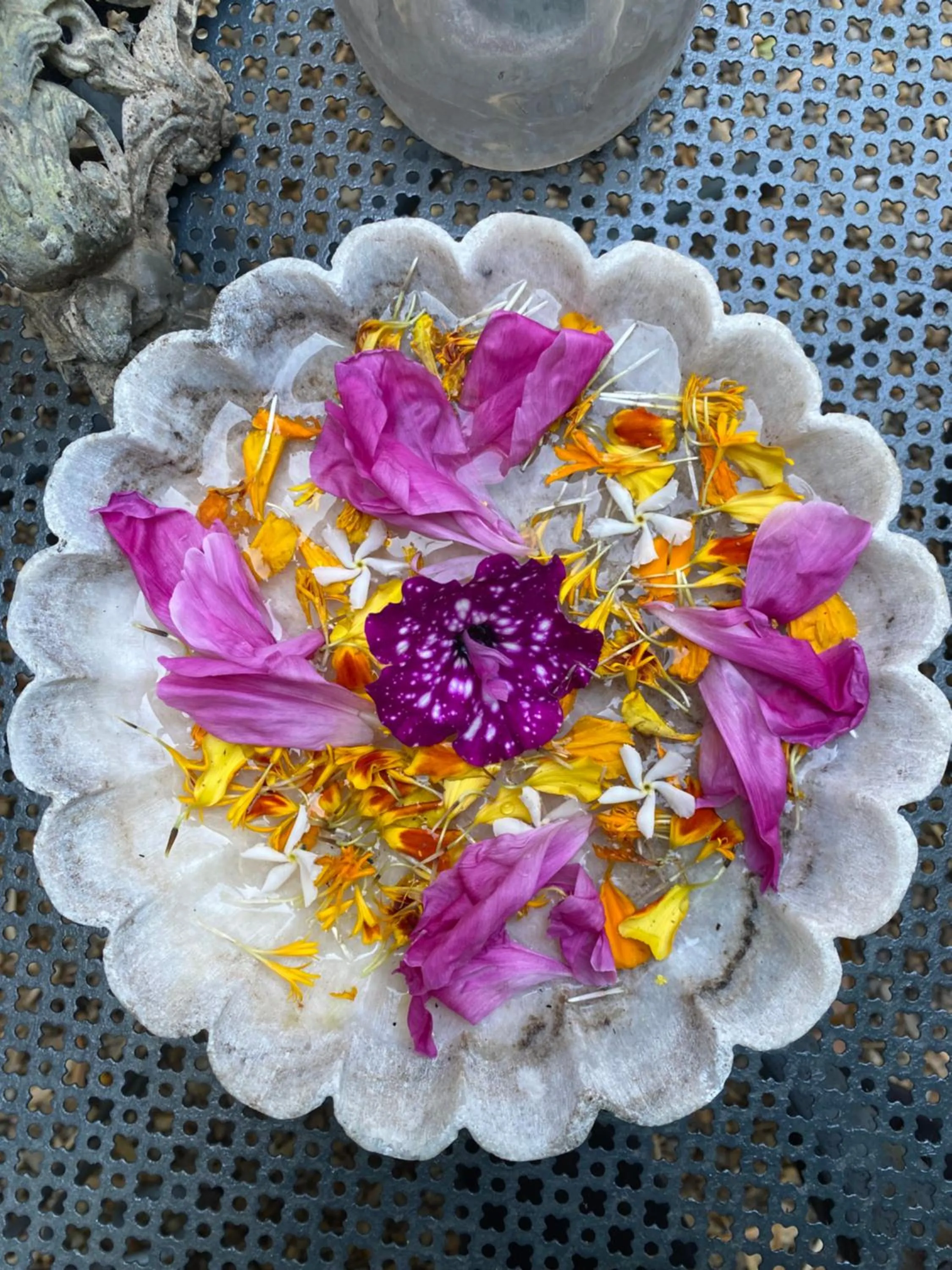 Garden in Le logis blanc bed&breakfast