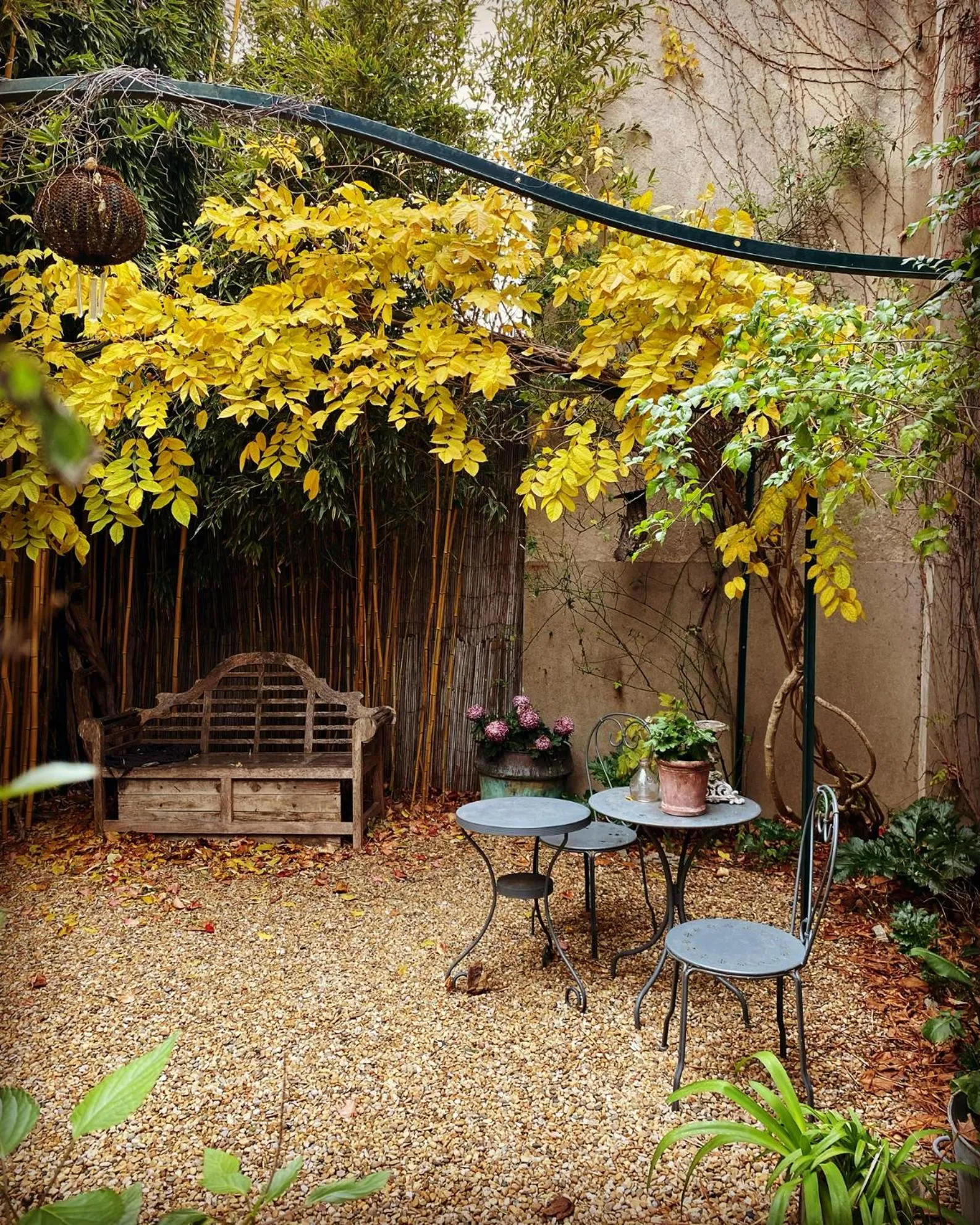 Garden in Le logis blanc bed&breakfast