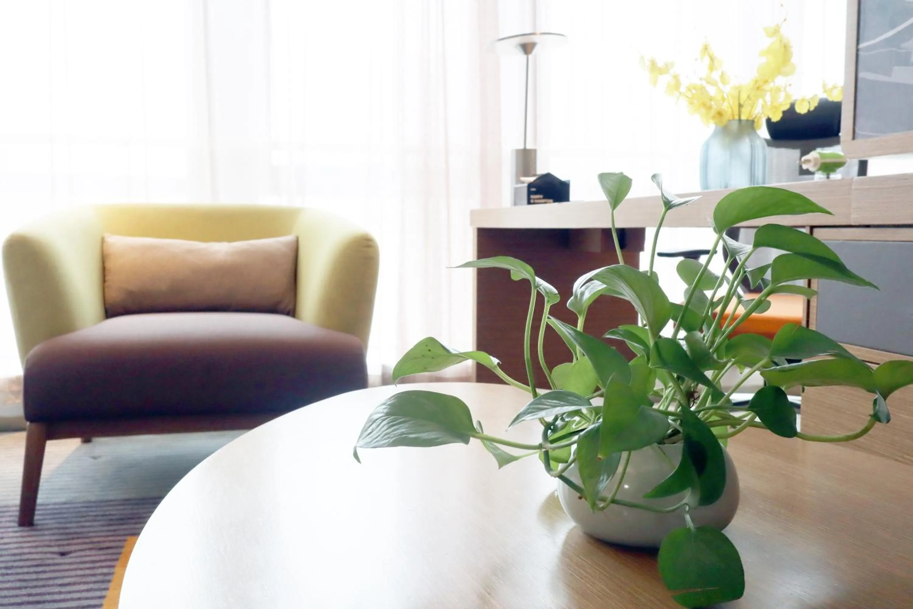 Hampton by Hilton Guangzhou Zhujiang New Town - Free Shuttle Bus to Canton Fair