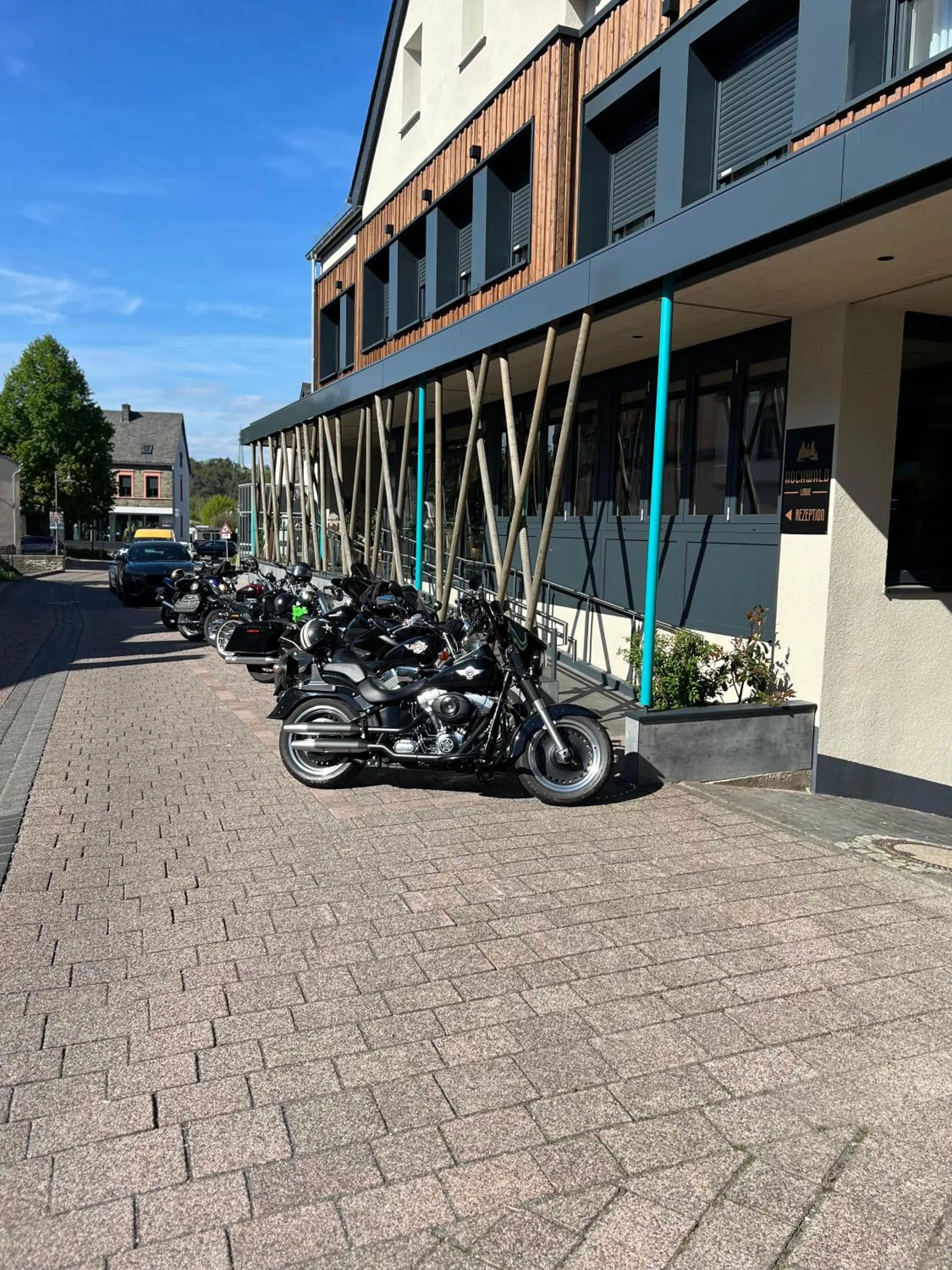 View (from property/room) in Hochwald Lodge