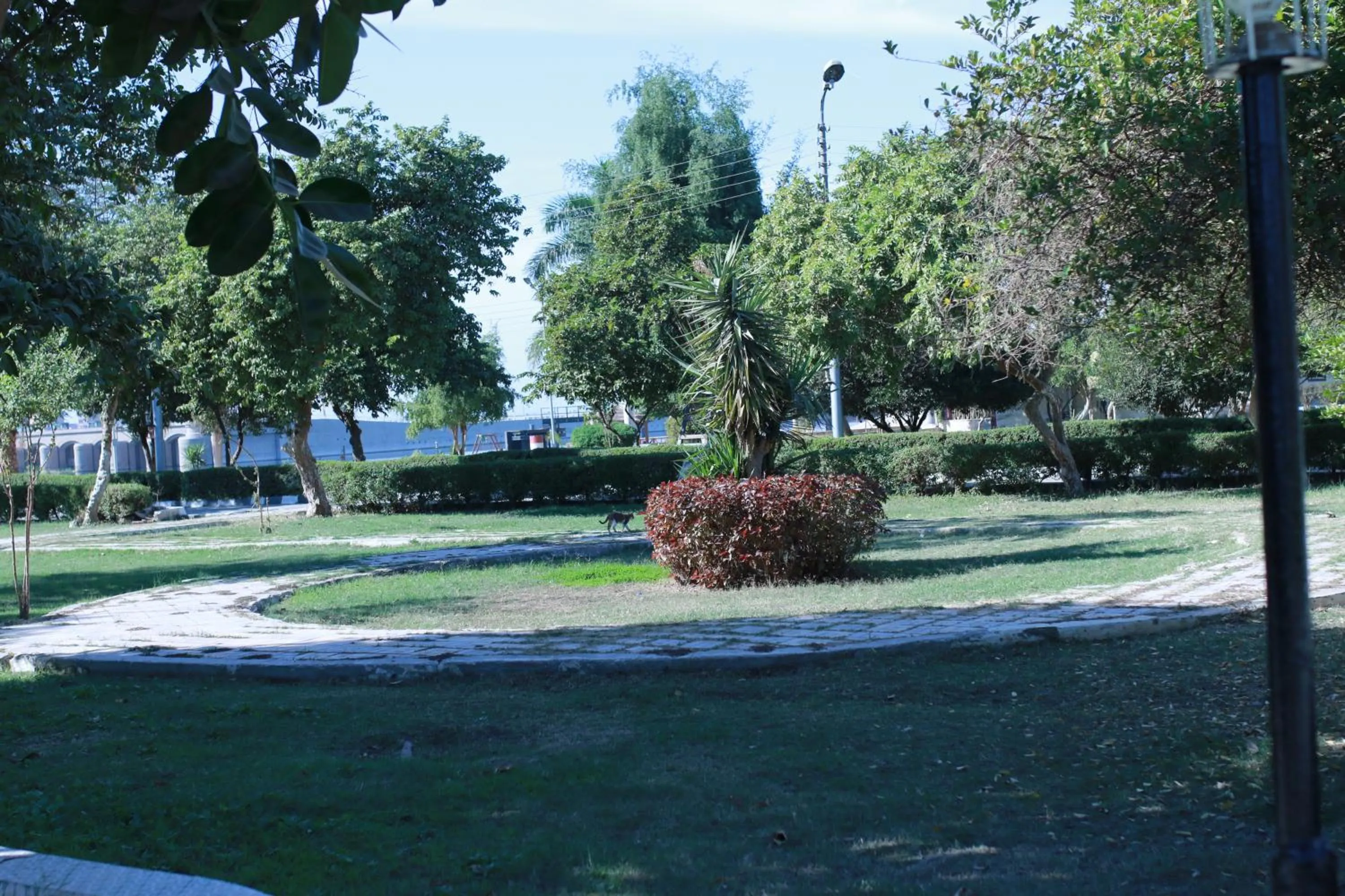 Garden in Jewel Assiut Hotel