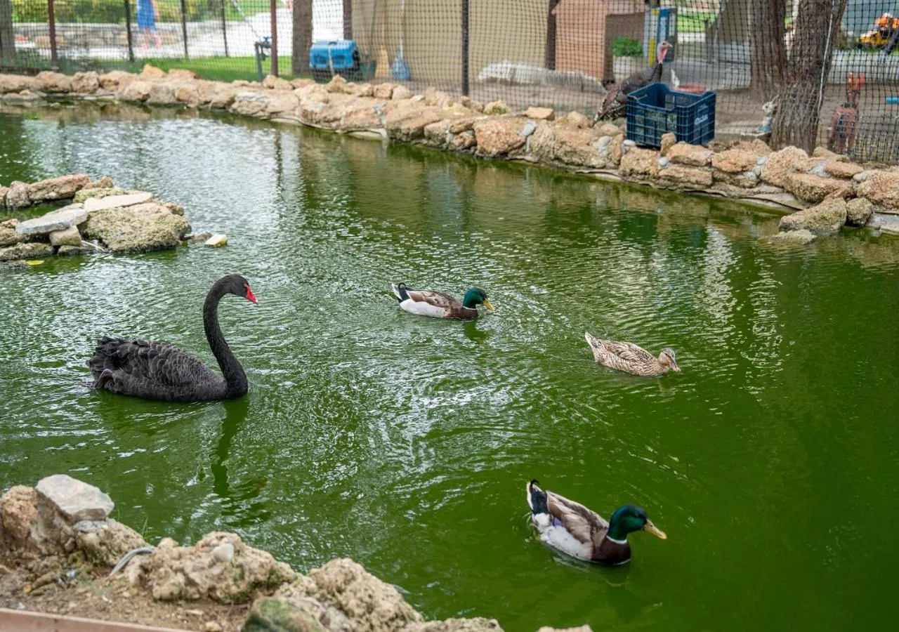 Natural landscape in Armas Pemar Beach
