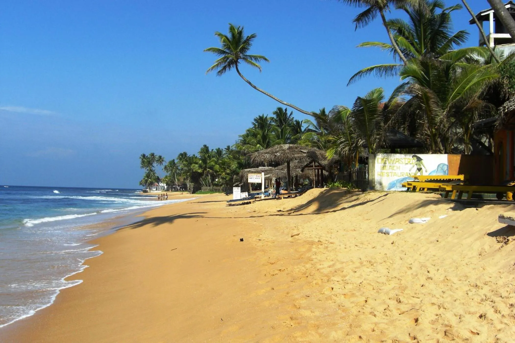 Beach in Mary's Palm Garden