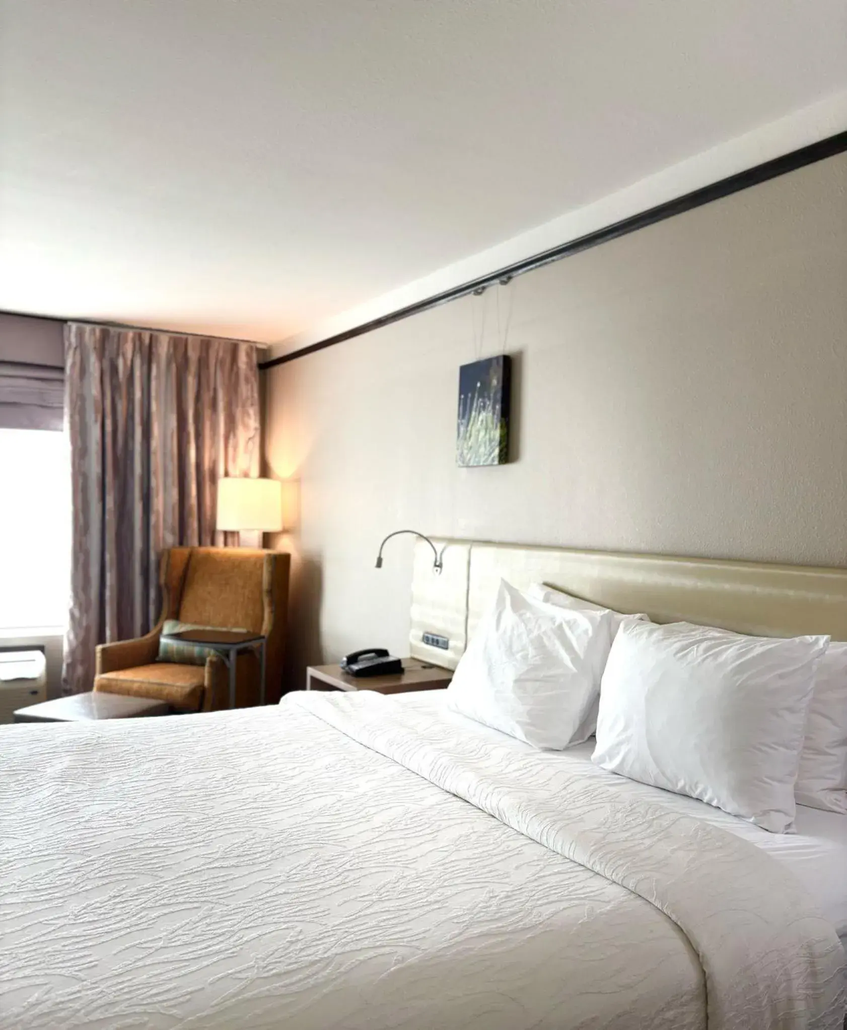 Bed in Kozy Hotel Houston North Bed in Kozy Hotel Houston North