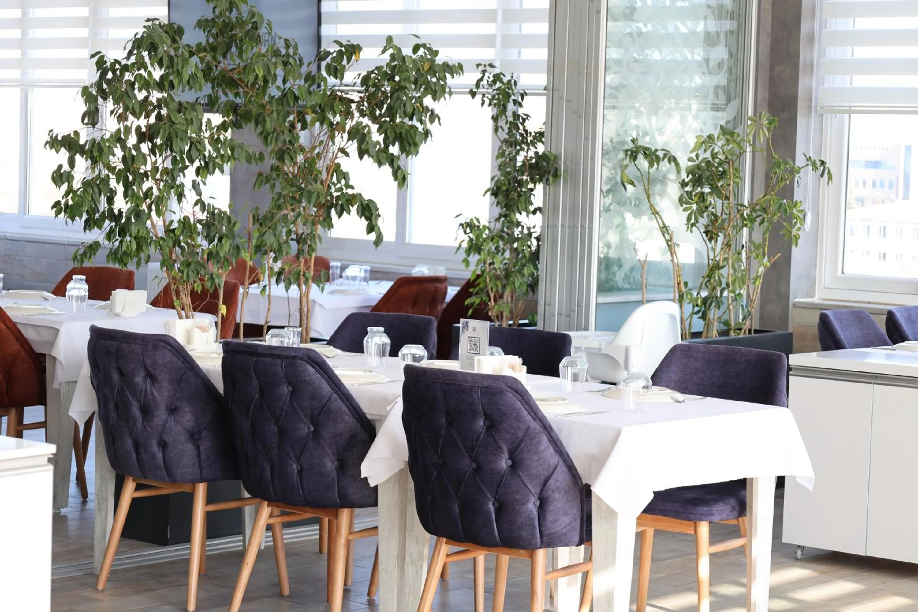 Restaurant/places to eat in Cavit Duvan Prestige Hotel