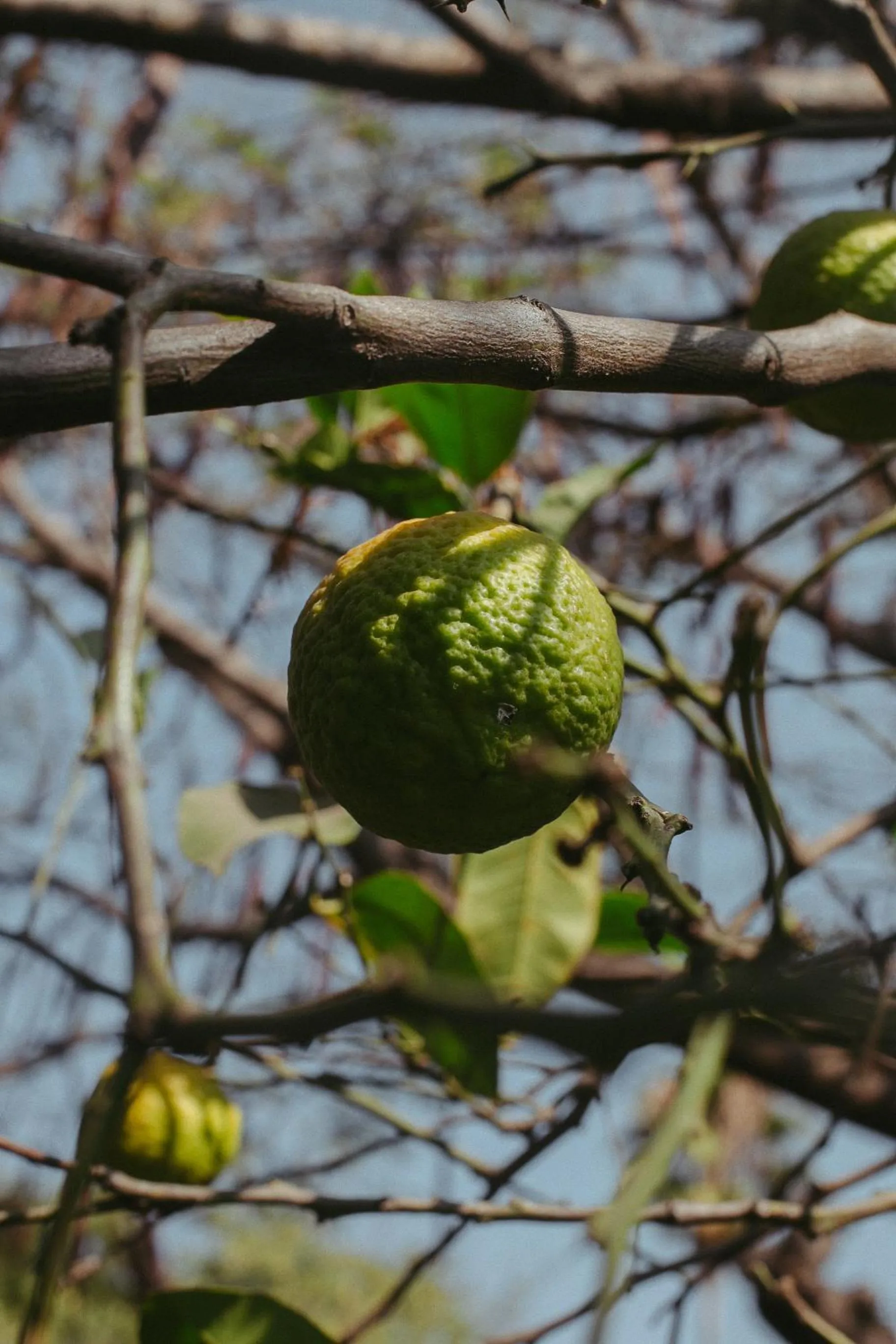 Quinta Cielo - Hotel Boutique y Restaurante