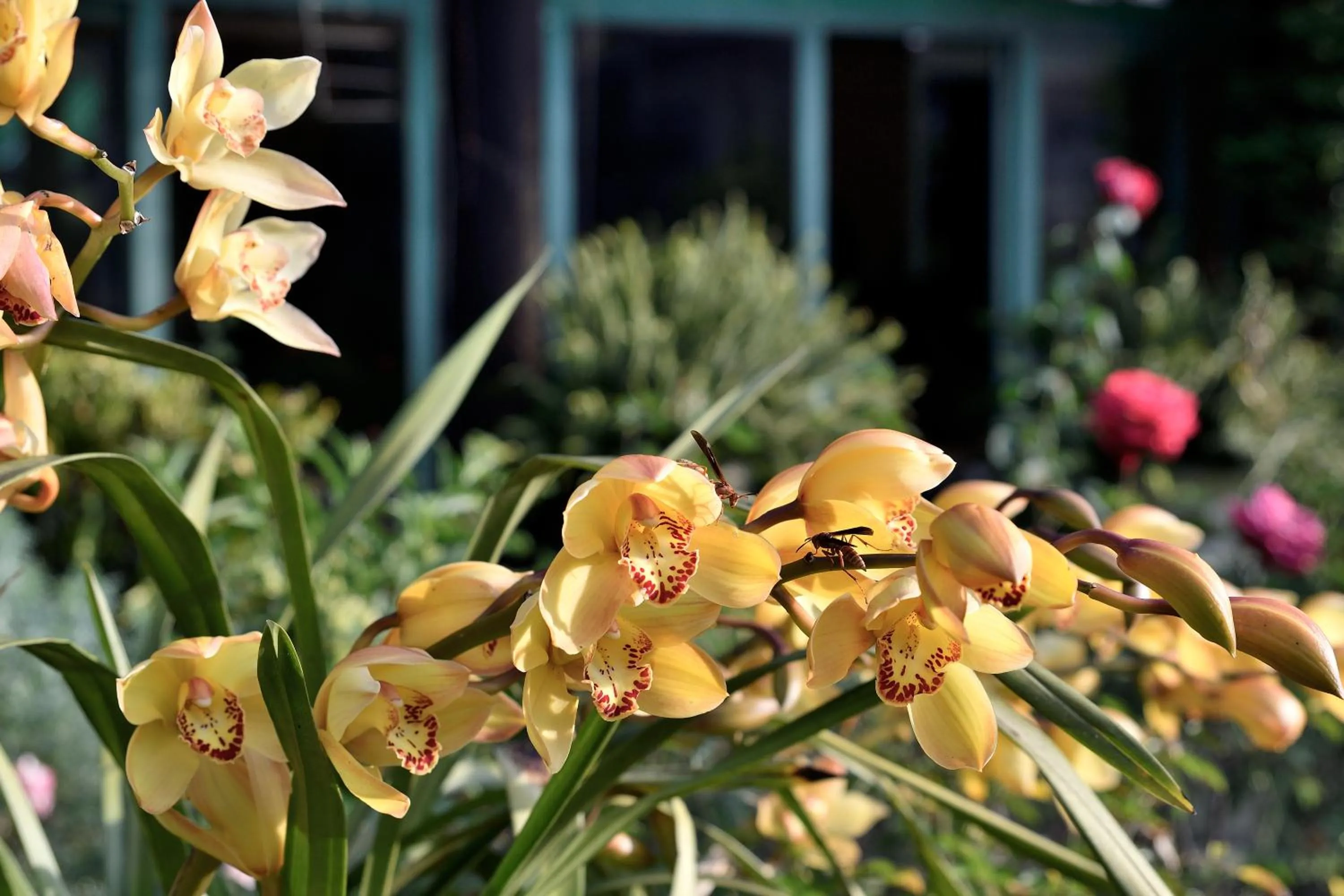 Quinta Cielo - Hotel Boutique y Restaurante