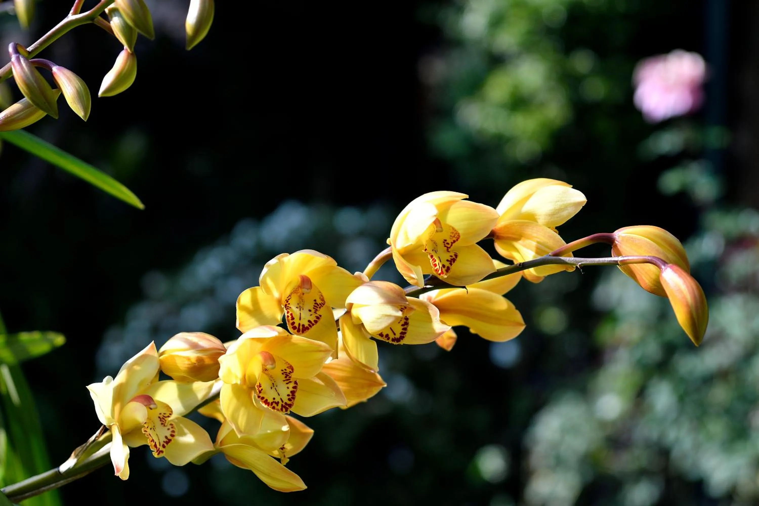 Quinta Cielo - Hotel Boutique y Restaurante