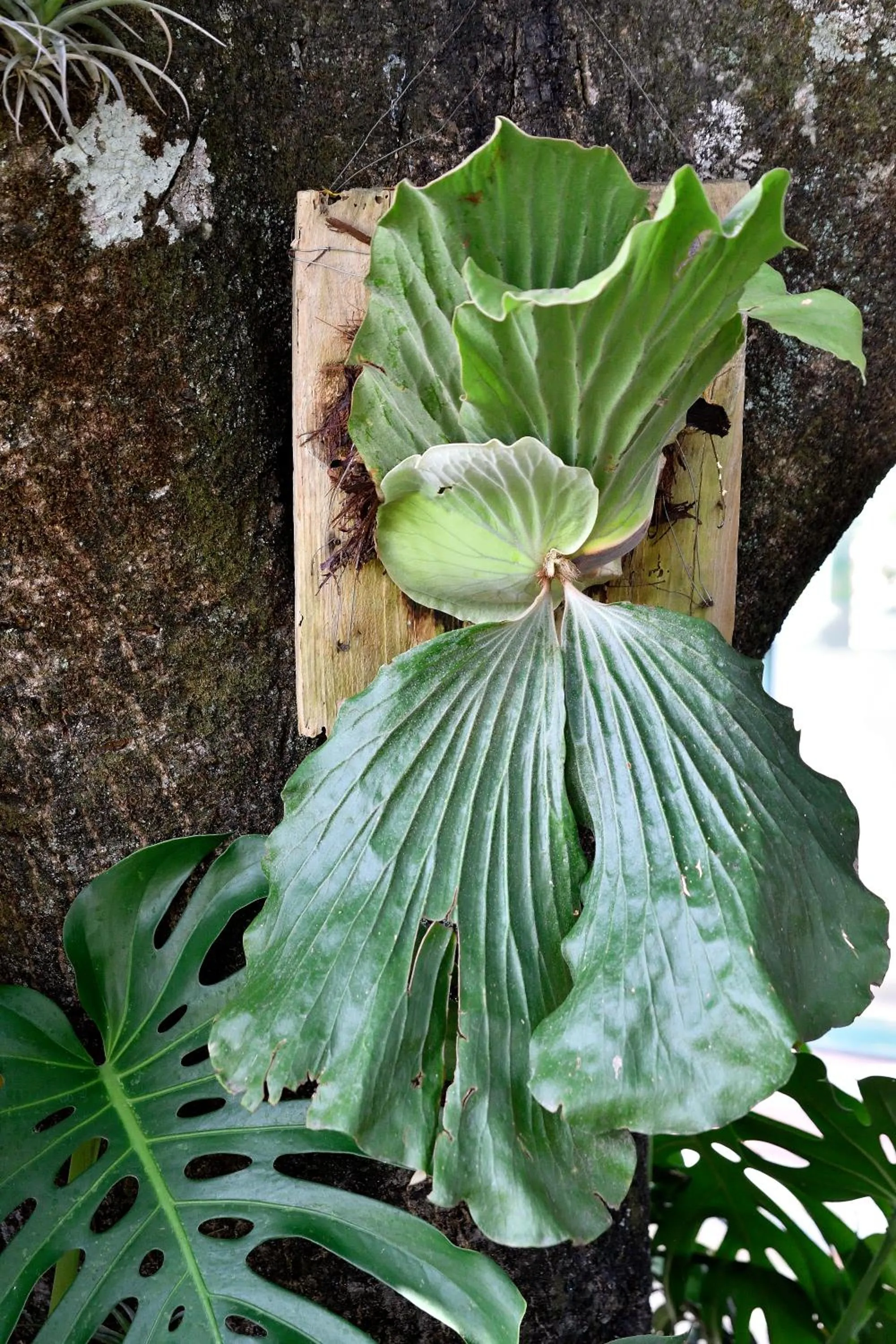 Quinta Cielo - Hotel Boutique y Restaurante