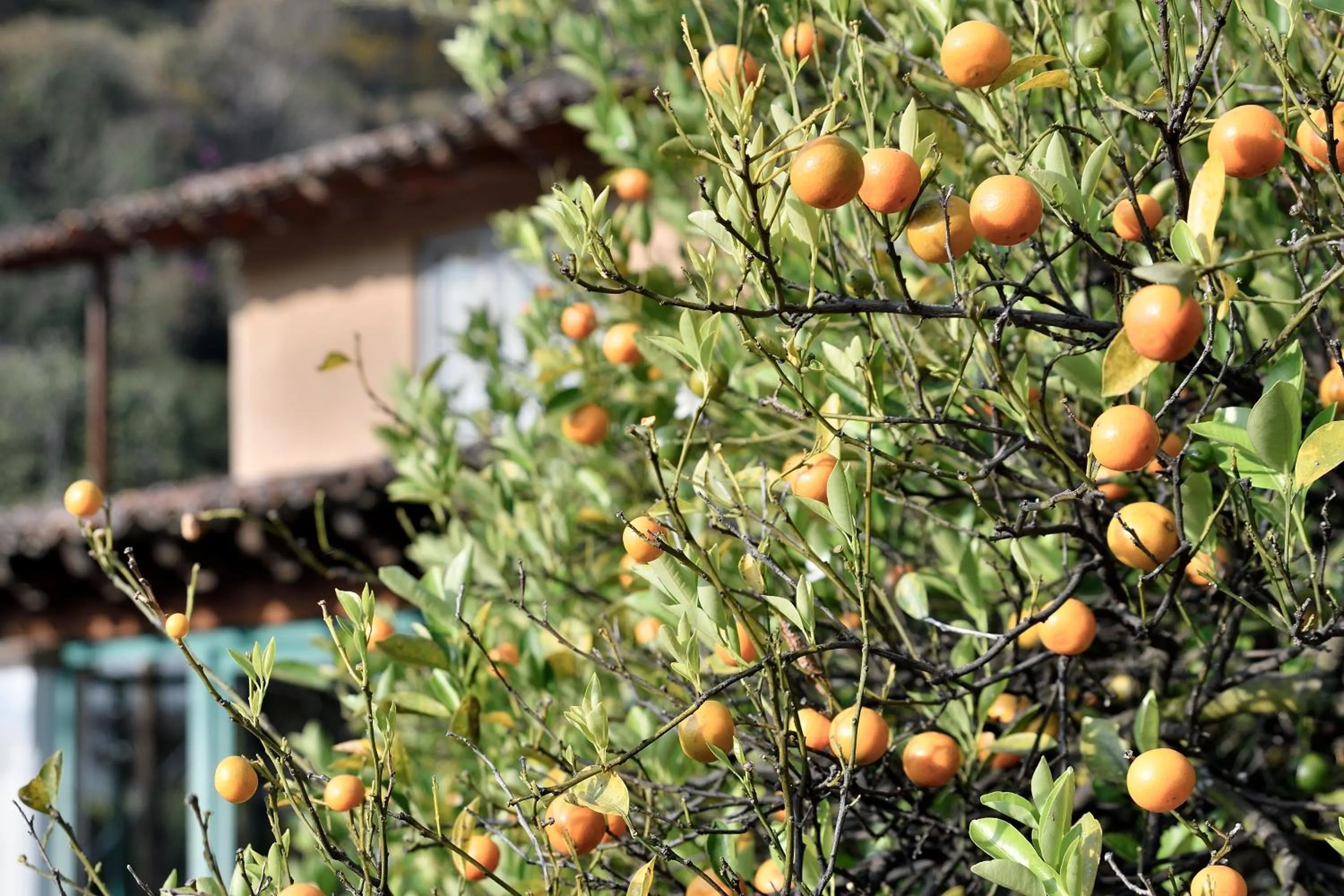 Quinta Cielo - Hotel Boutique y Restaurante