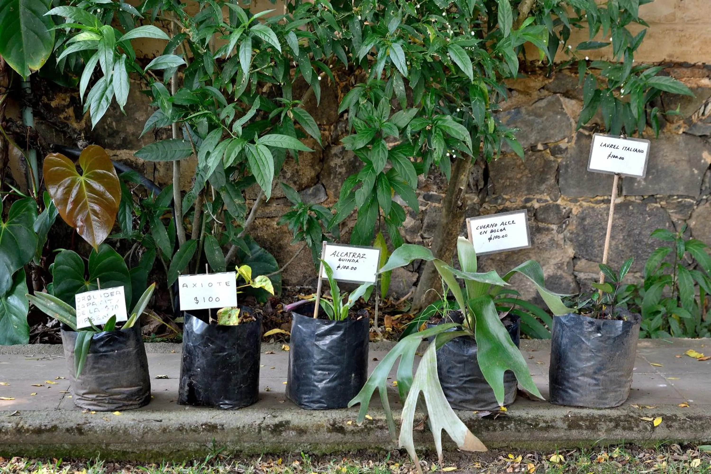 Quinta Cielo - Hotel Boutique y Restaurante