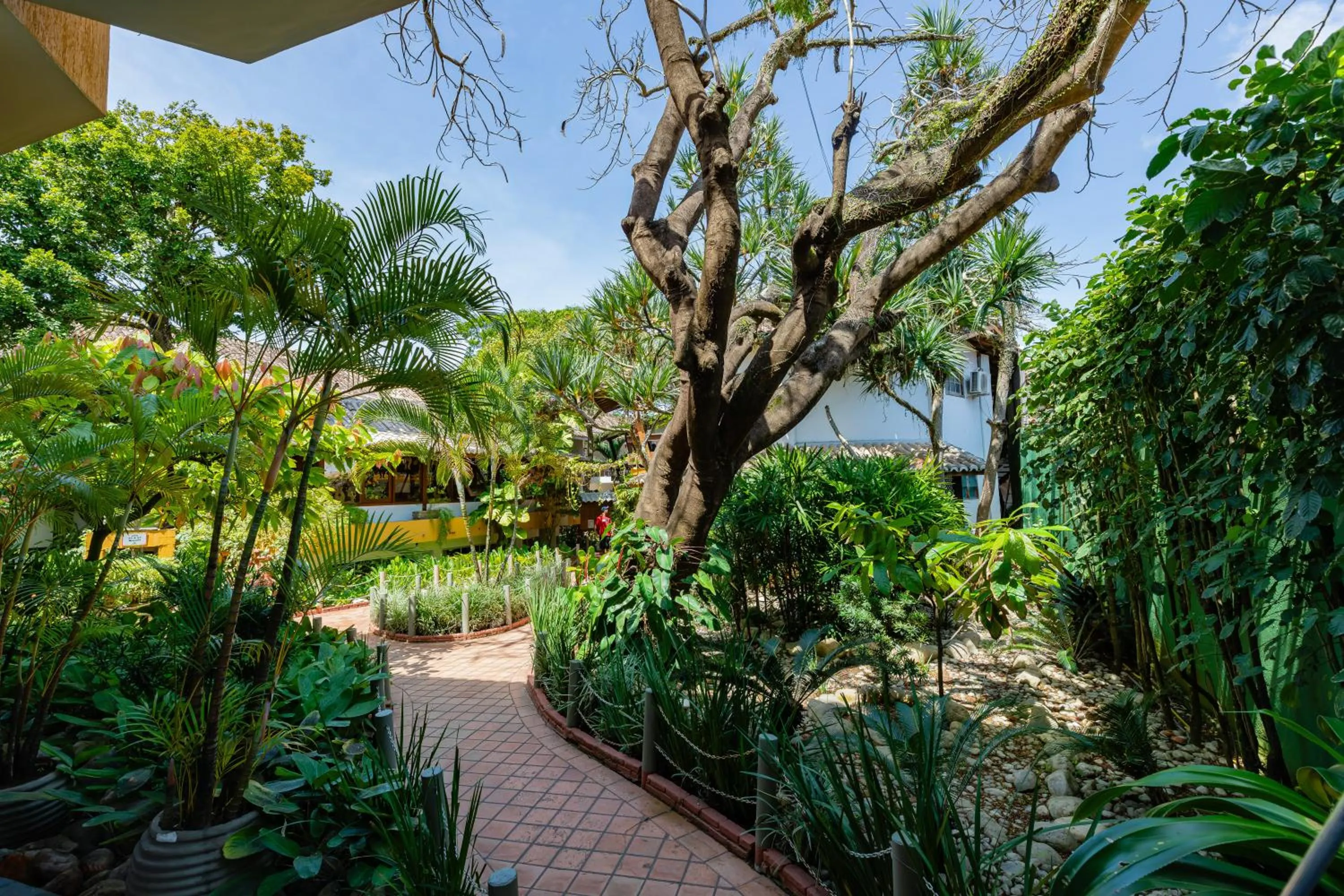 Garden in Casa Blanca Park Hotel