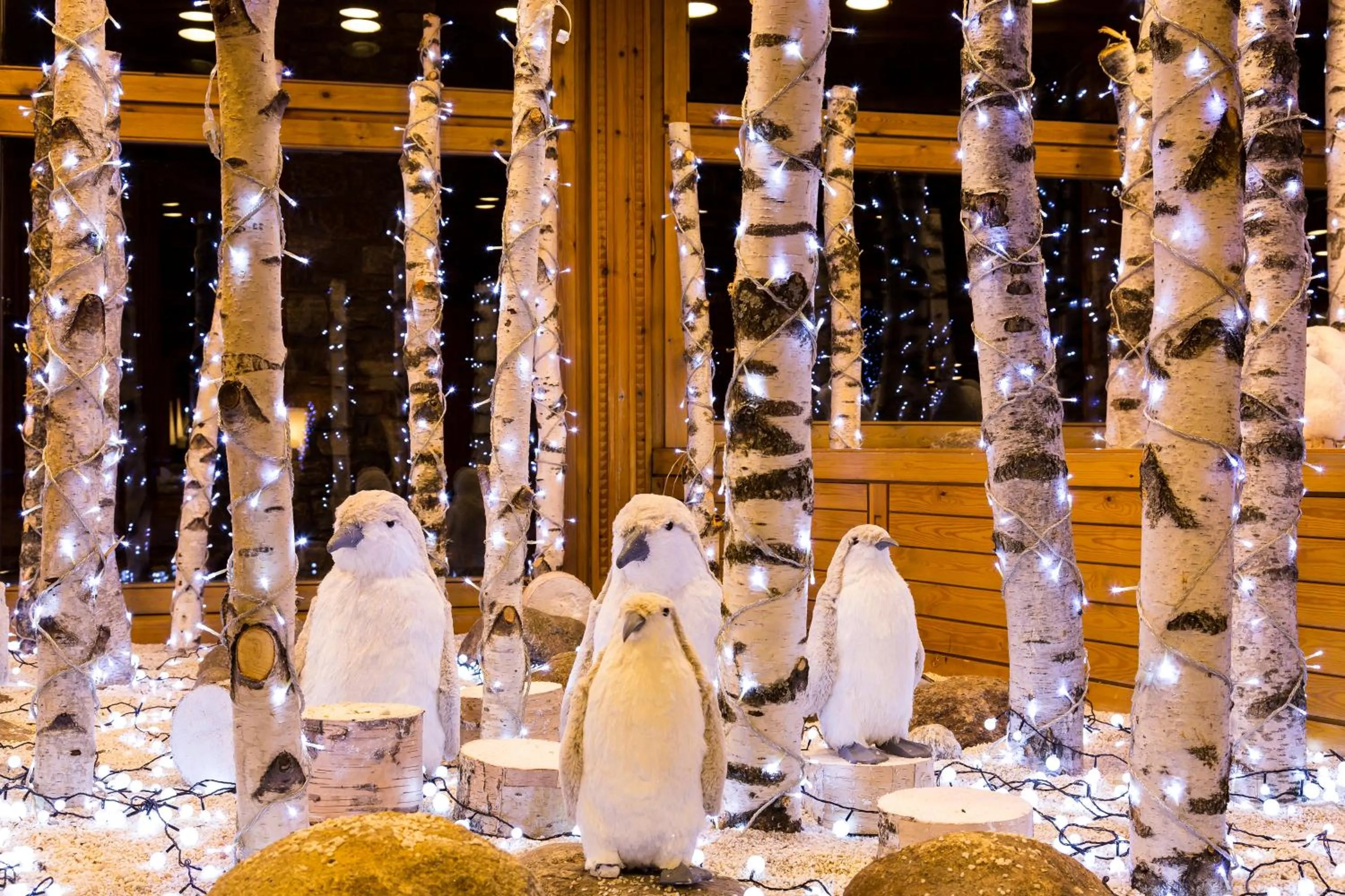 Lobby or reception in Sport Hotel Village