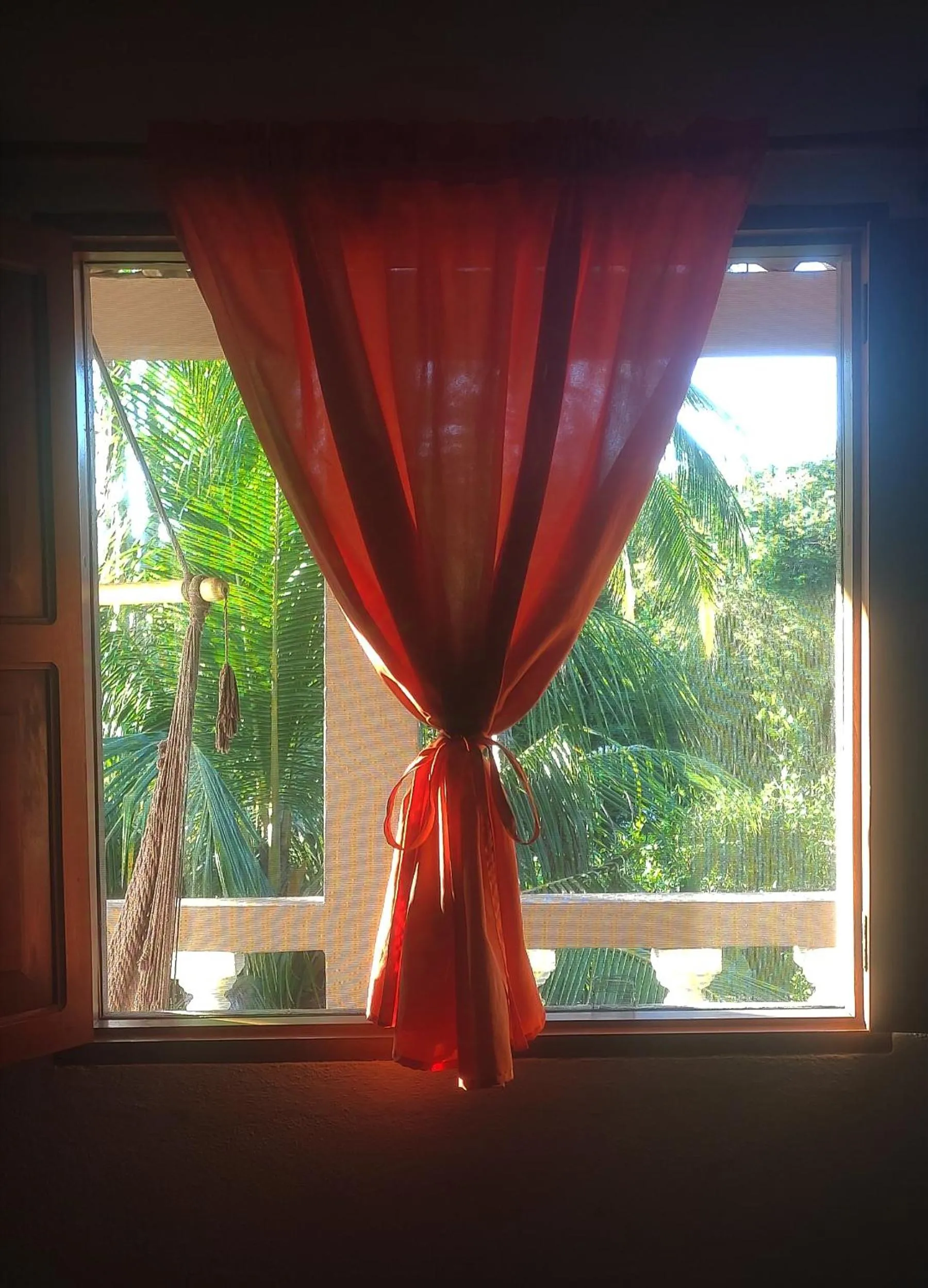 Garden view in El Belga Loco