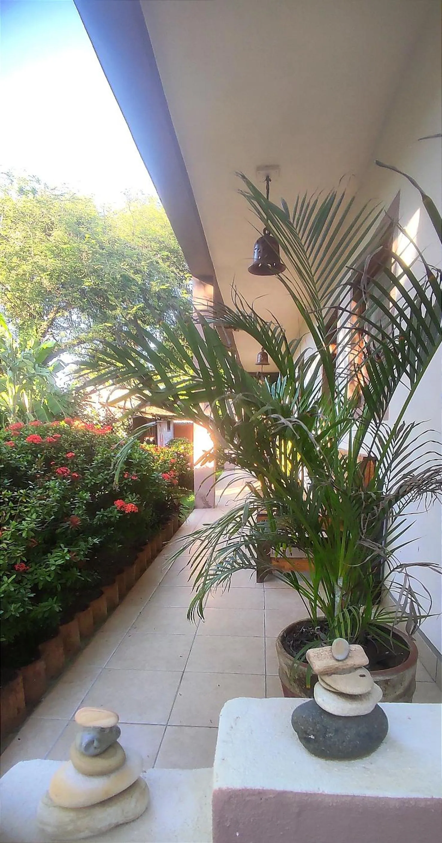 Garden in El Belga Loco