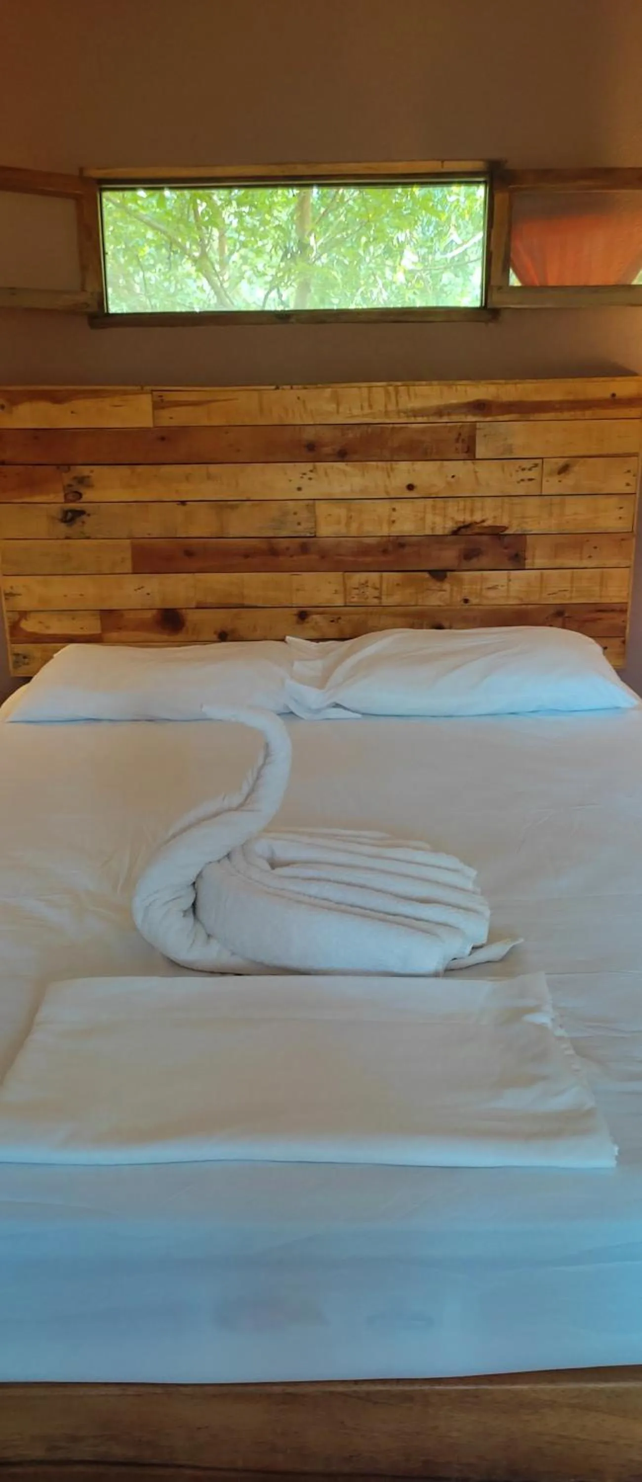 Photo of the whole room, Bed in El Belga Loco