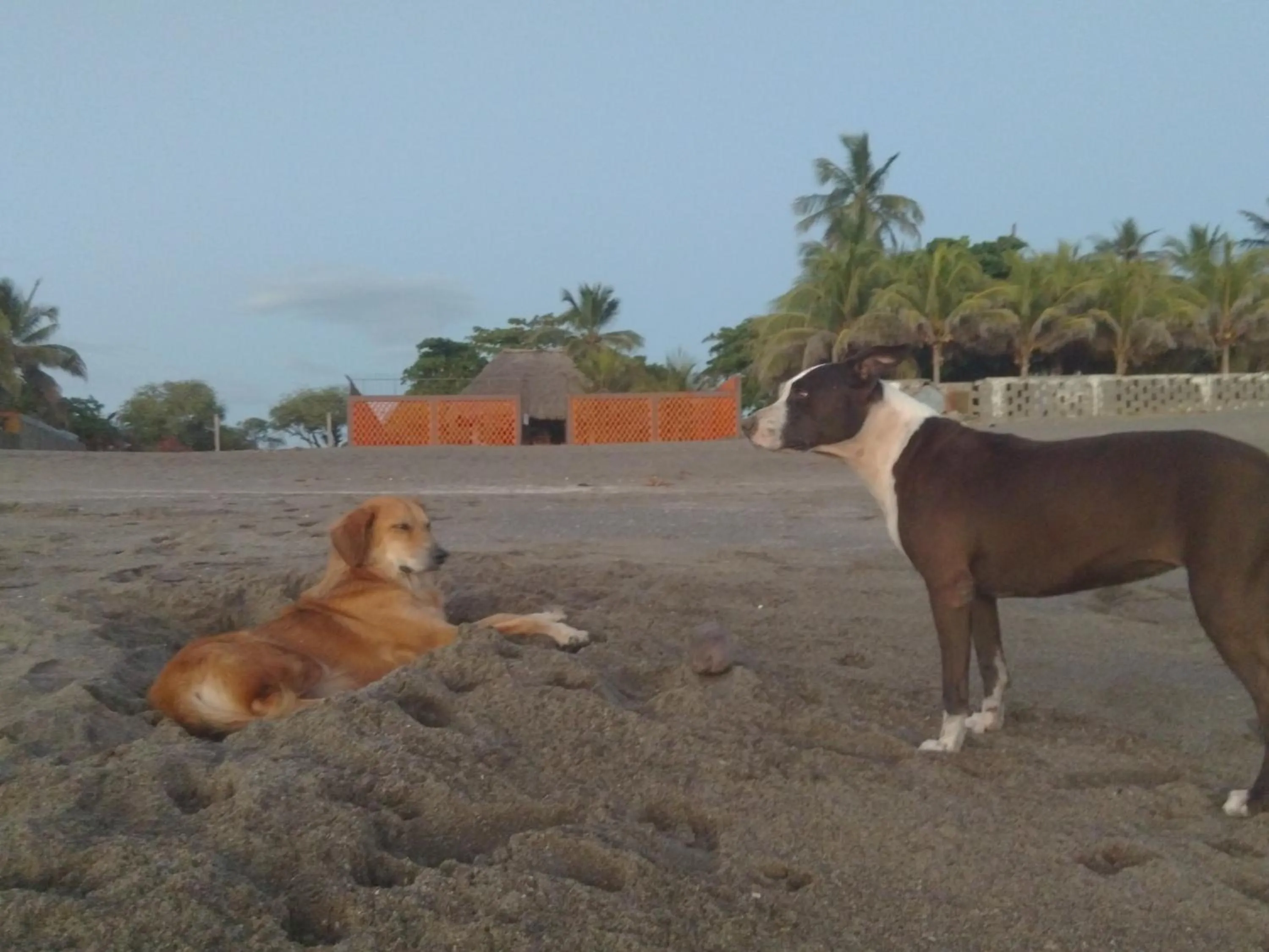 Beach in El Belga Loco