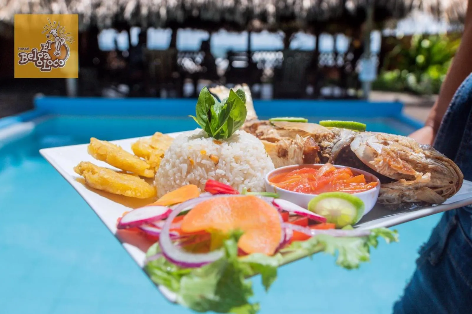 Restaurant/places to eat in El Belga Loco