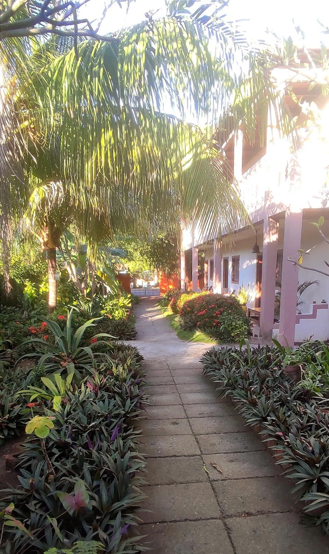 Garden view in El Belga Loco