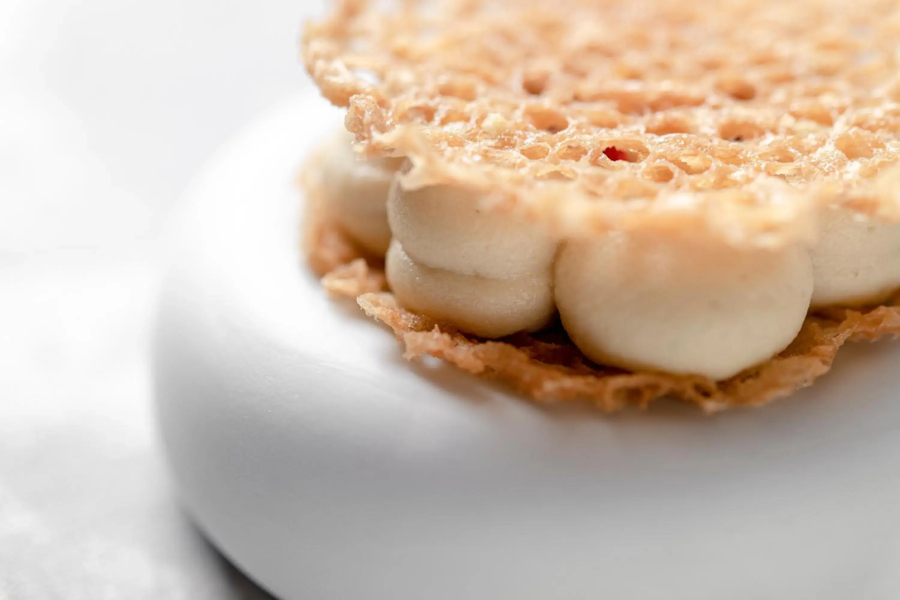 Food and drinks in Sport Hotel Hermitage & Spa Food and drinks in Sport Hotel Hermitage & Spa