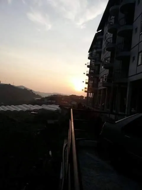 Rose Apartment Kea Farm