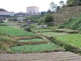 Rose Apartment Kea Farm