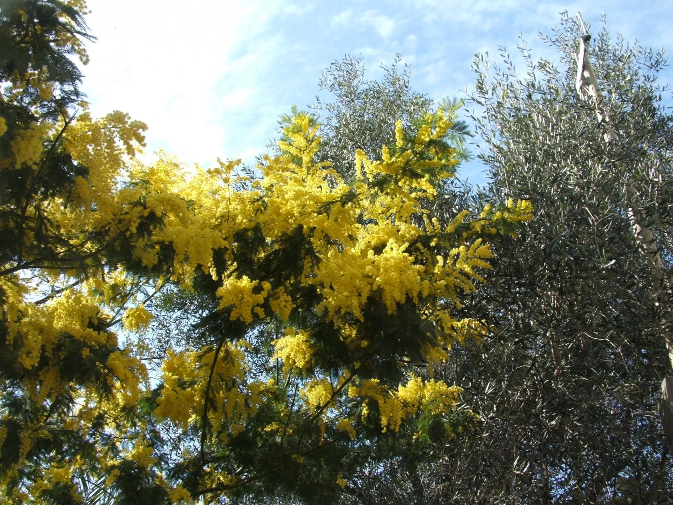 Decorative detail in B&B La Cubanina