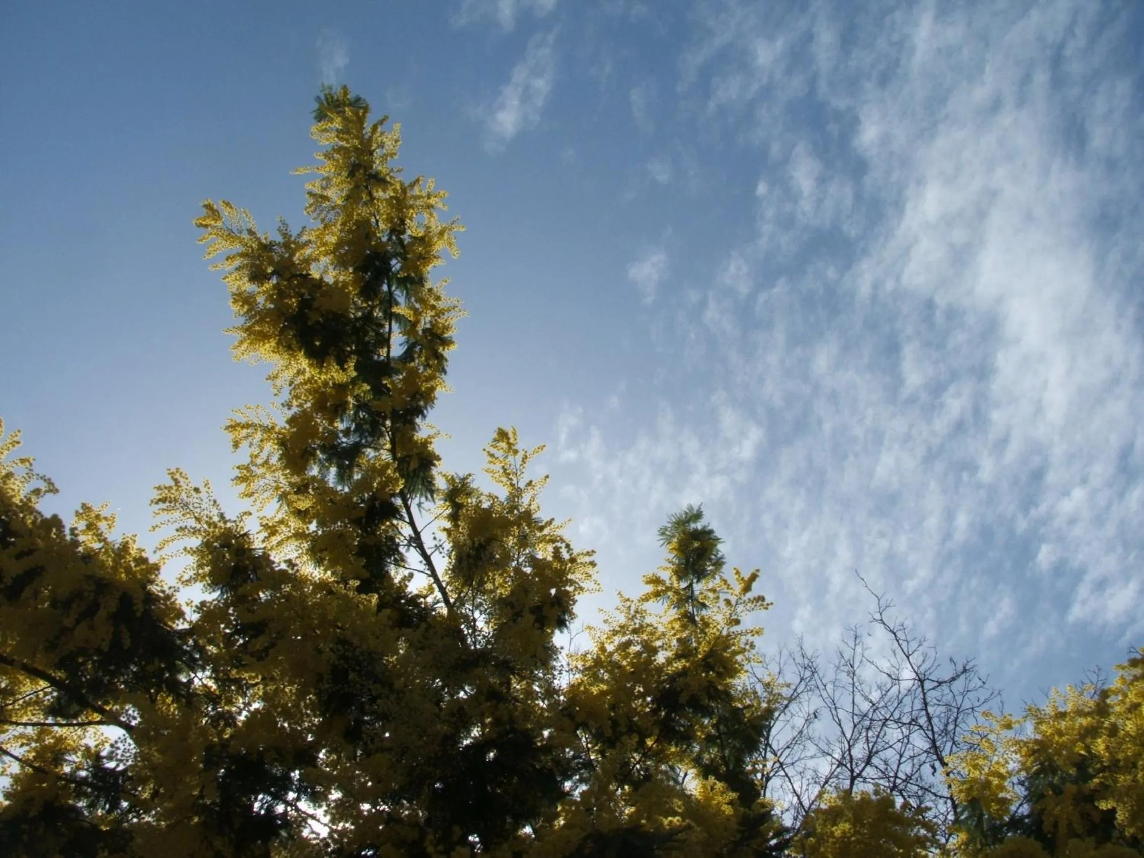 Garden view in B&B La Cubanina