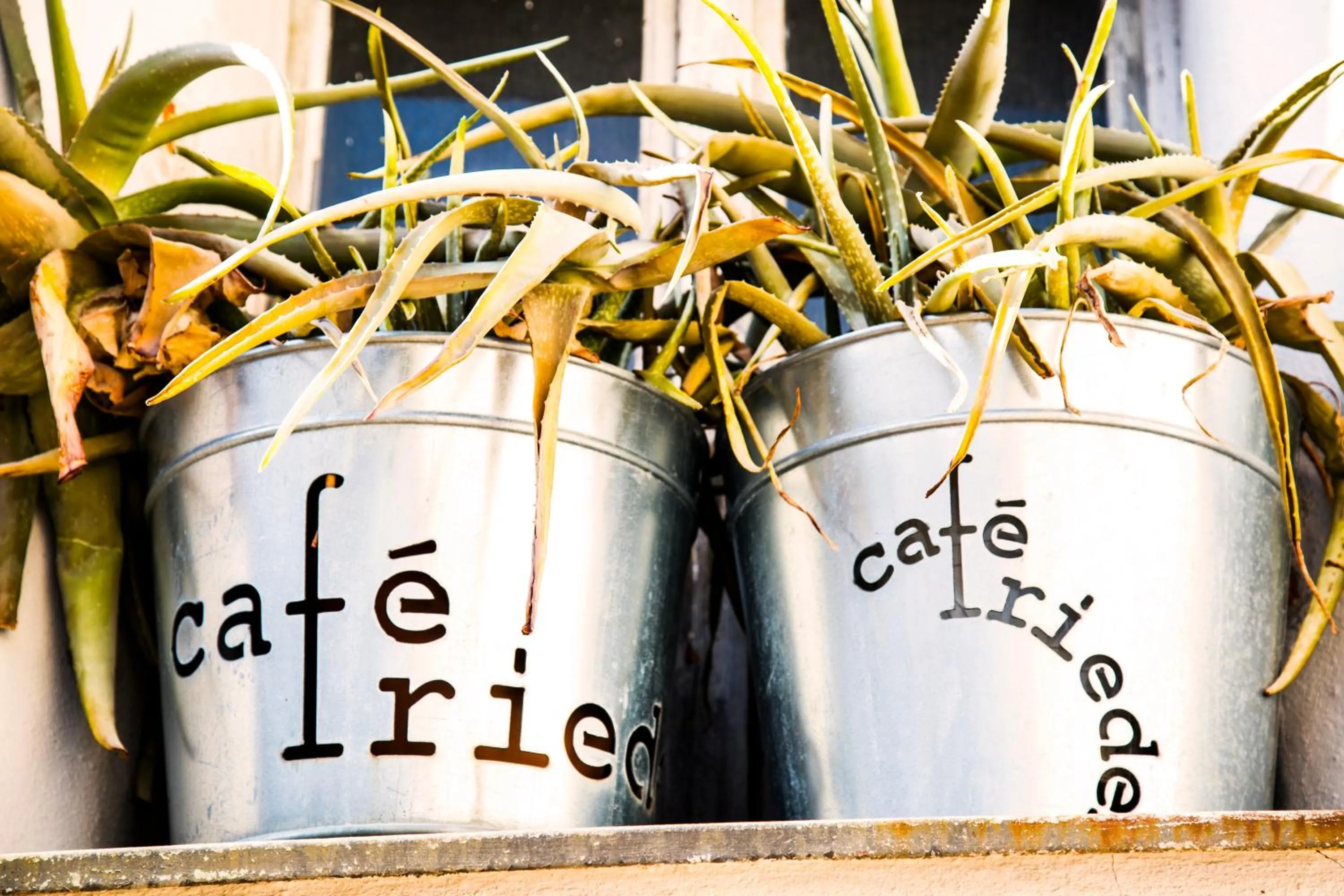 Property building in Boutique Hotel Frieden