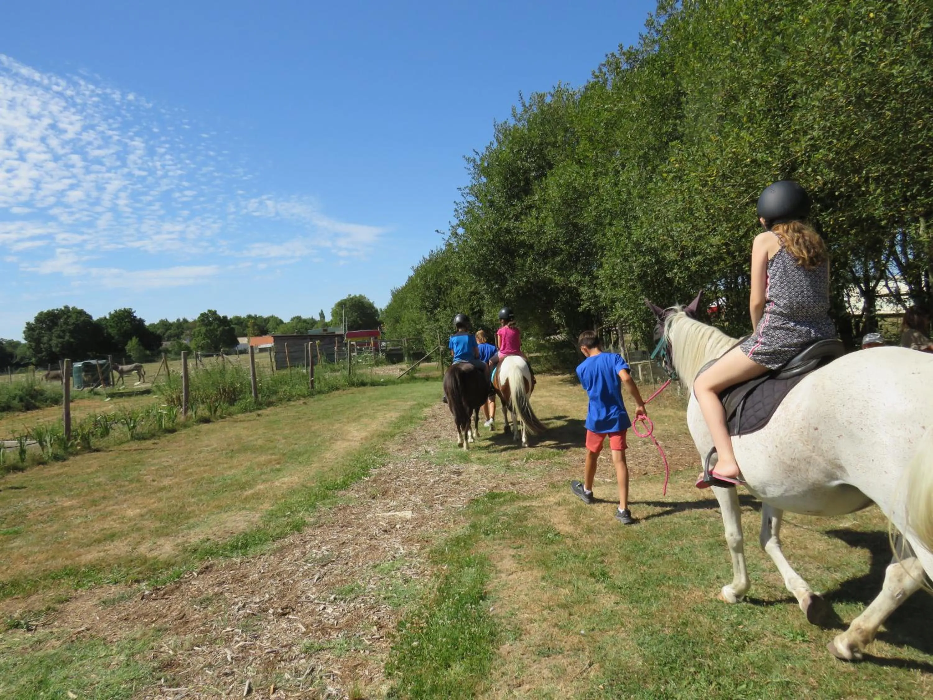Horse-riding in Camping Les P'tites Maisons dans la Prairie