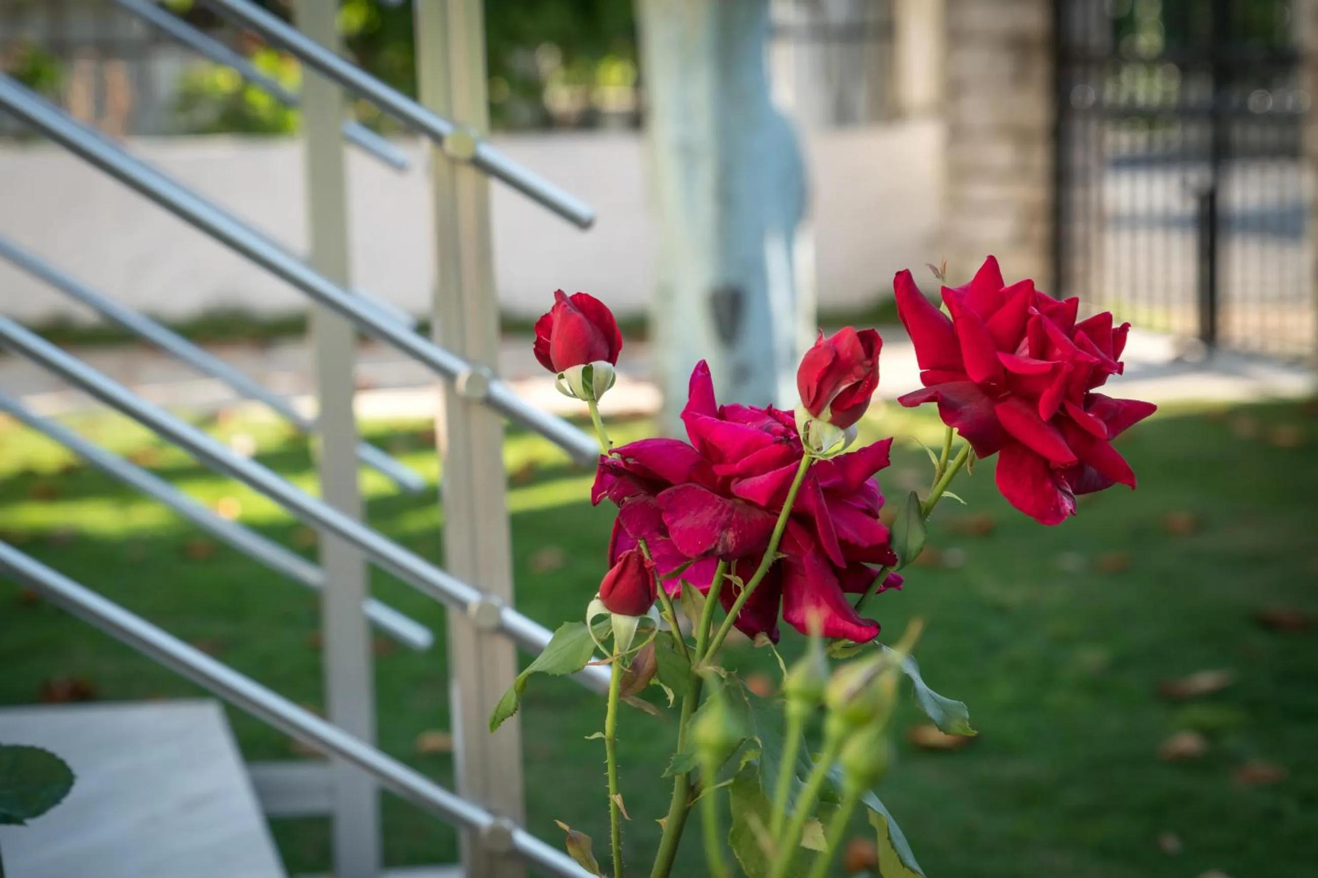 Natural landscape in Acharavi Beach Hotel