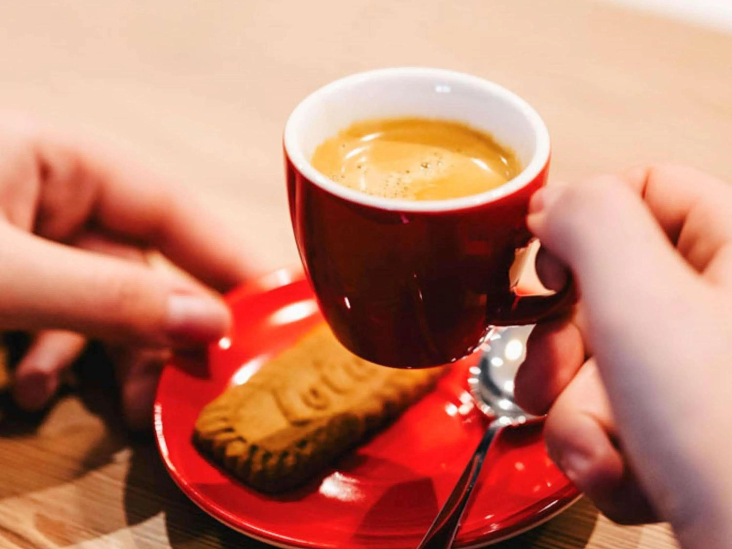 Lounge or bar in Ibis Istanbul West