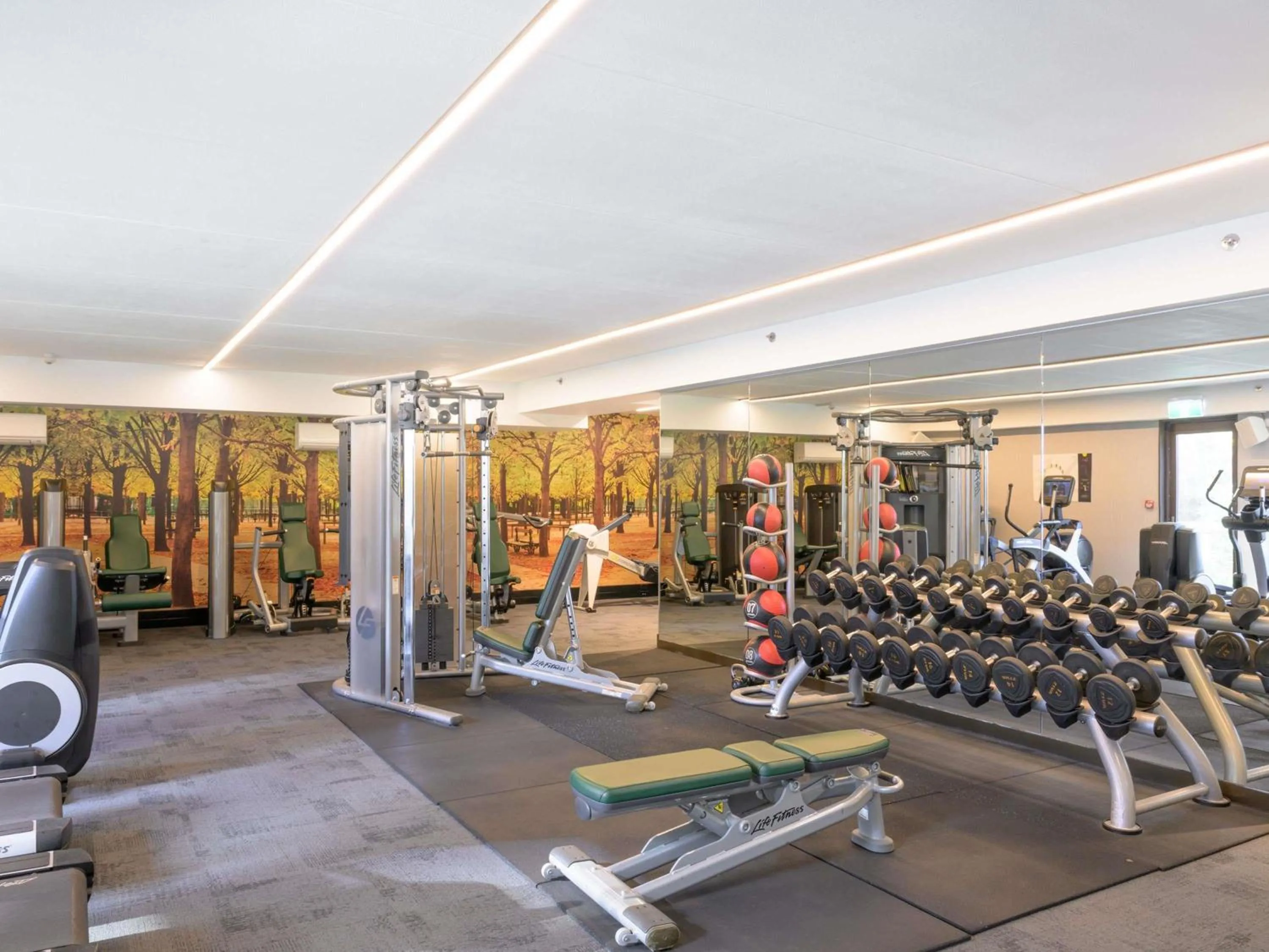 Fitness centre/facilities in Sofitel Wellington
