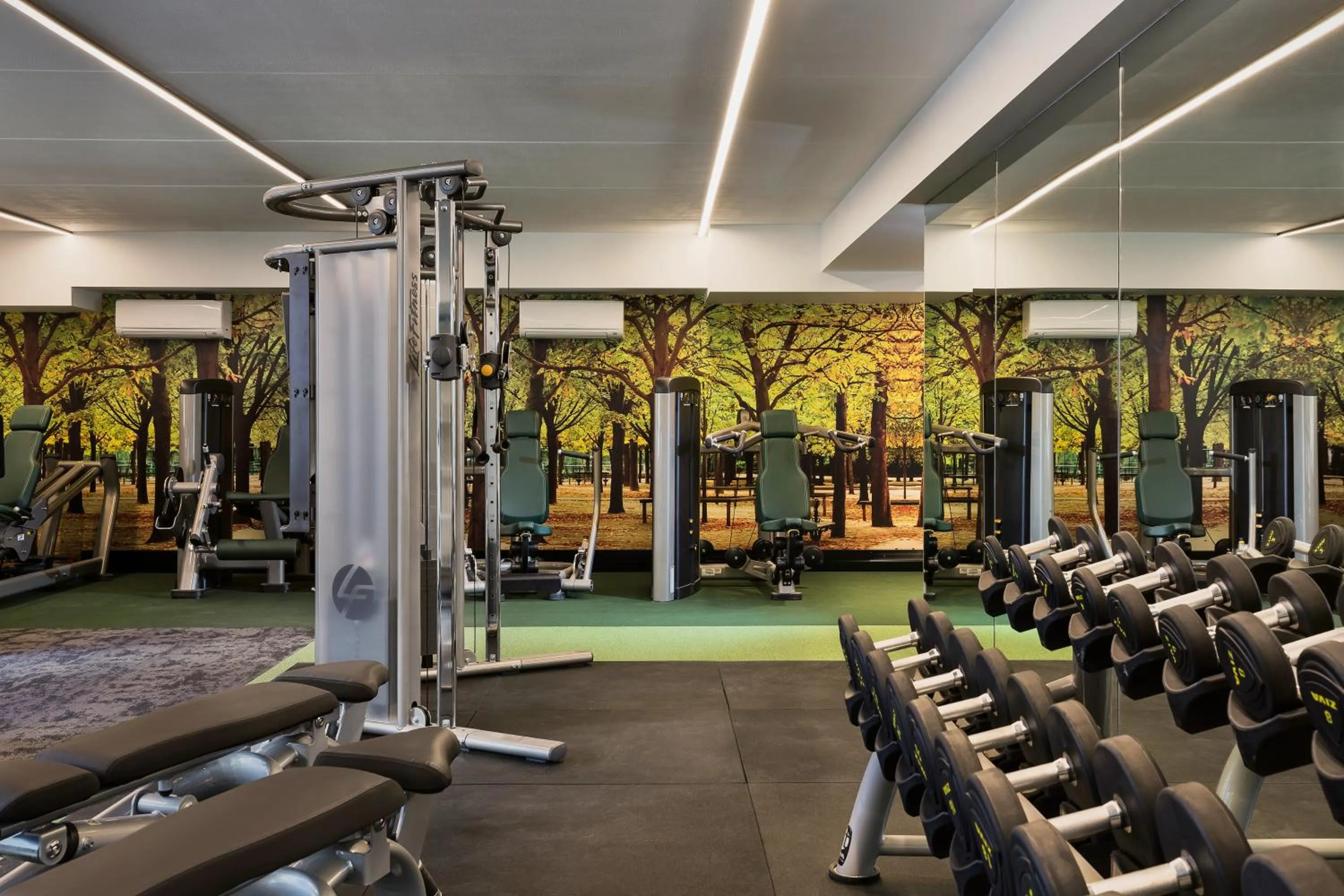 Fitness centre/facilities in Sofitel Wellington