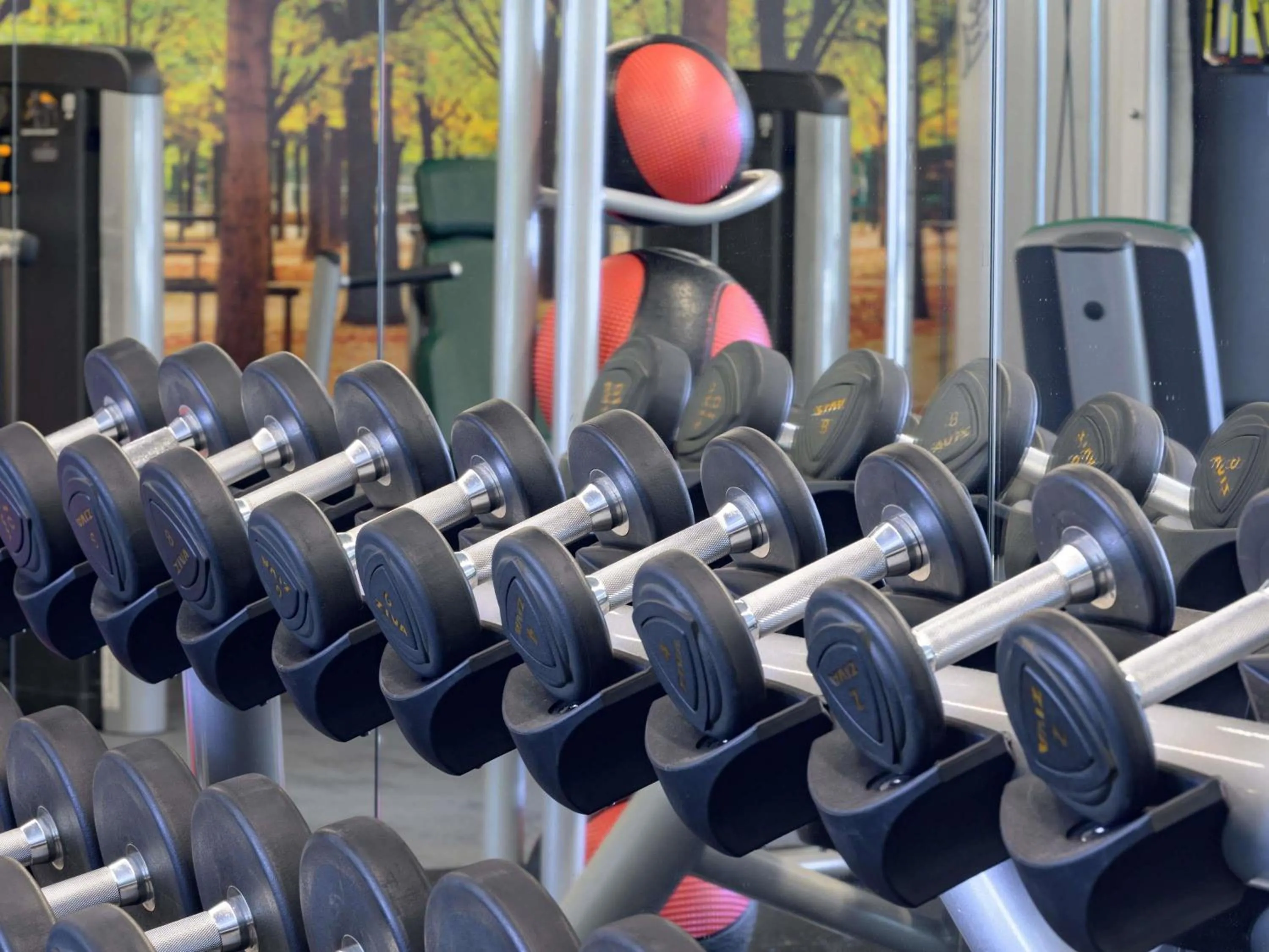 Fitness centre/facilities in Sofitel Wellington