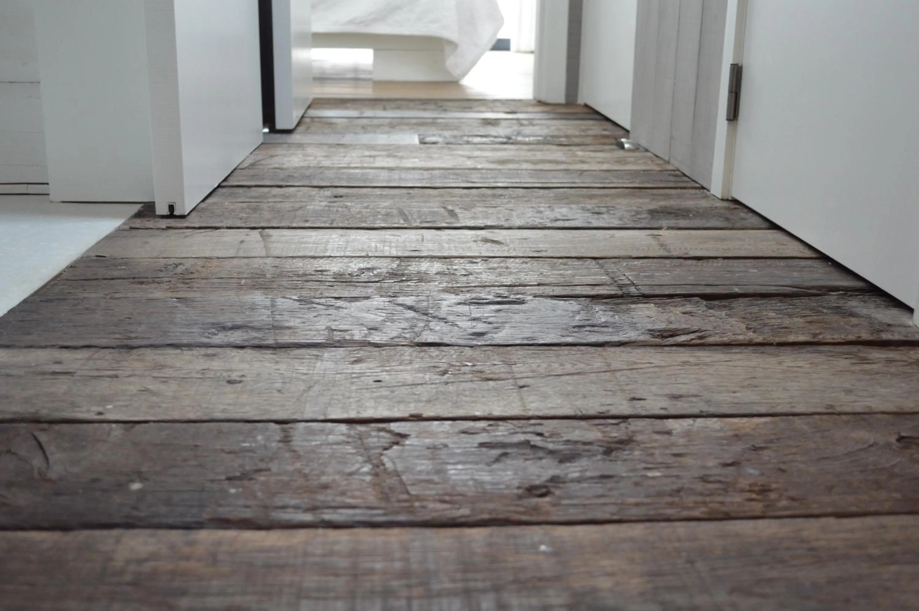 View (from property/room) in De Waterzooi Lodge