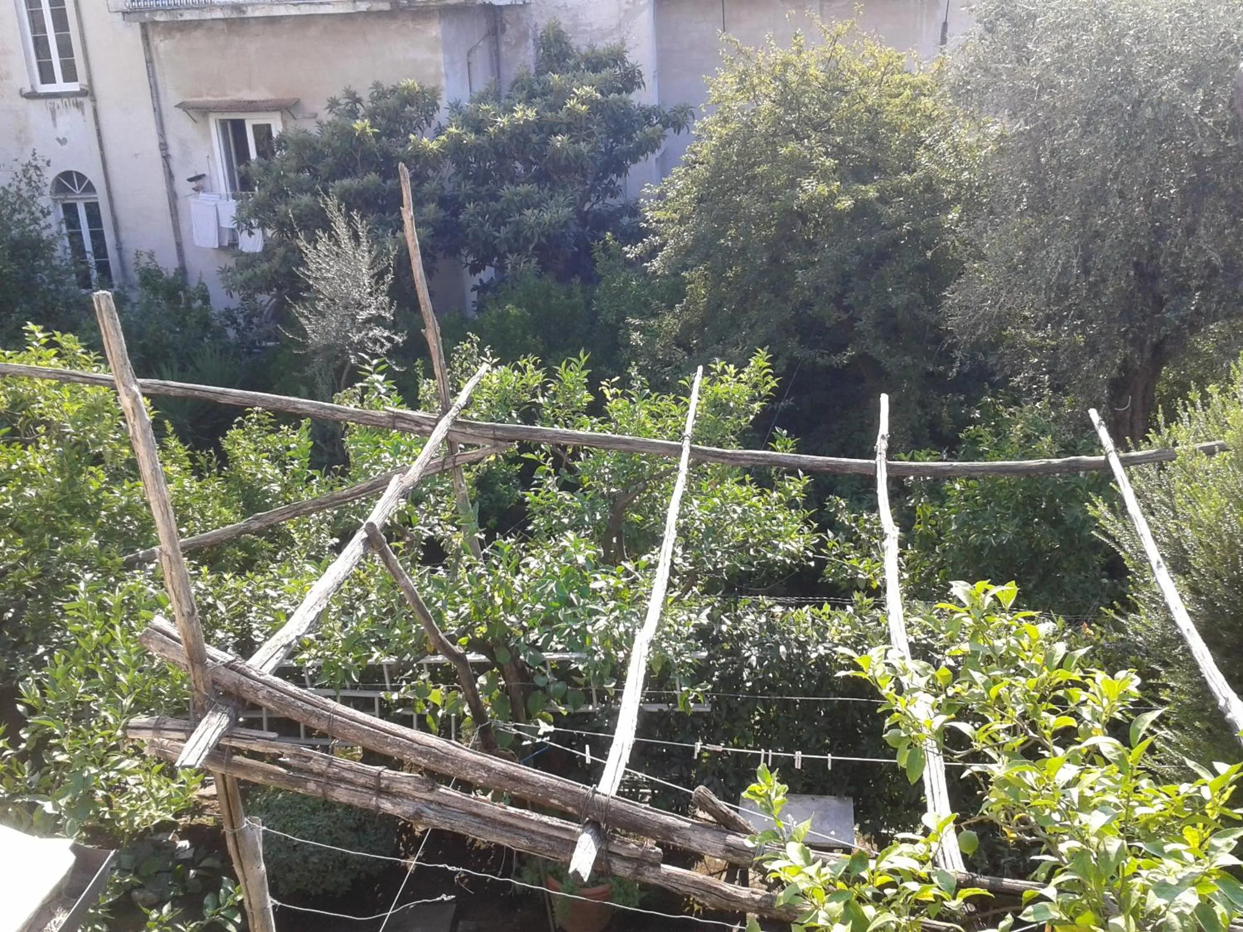 Garden view in B&B Ap