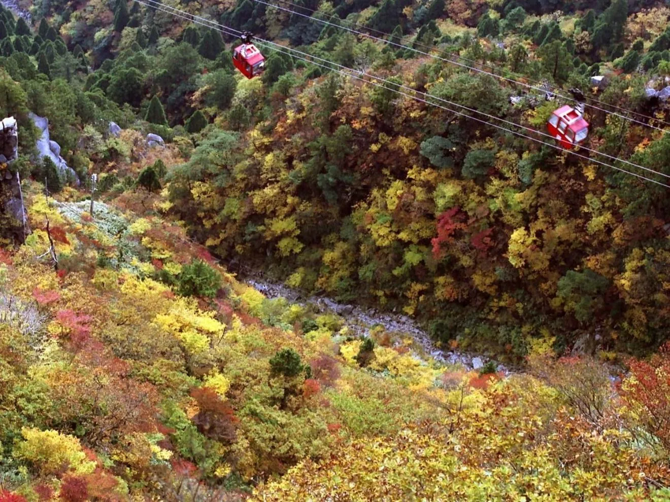 Autumn in Hotel Yunomoto
