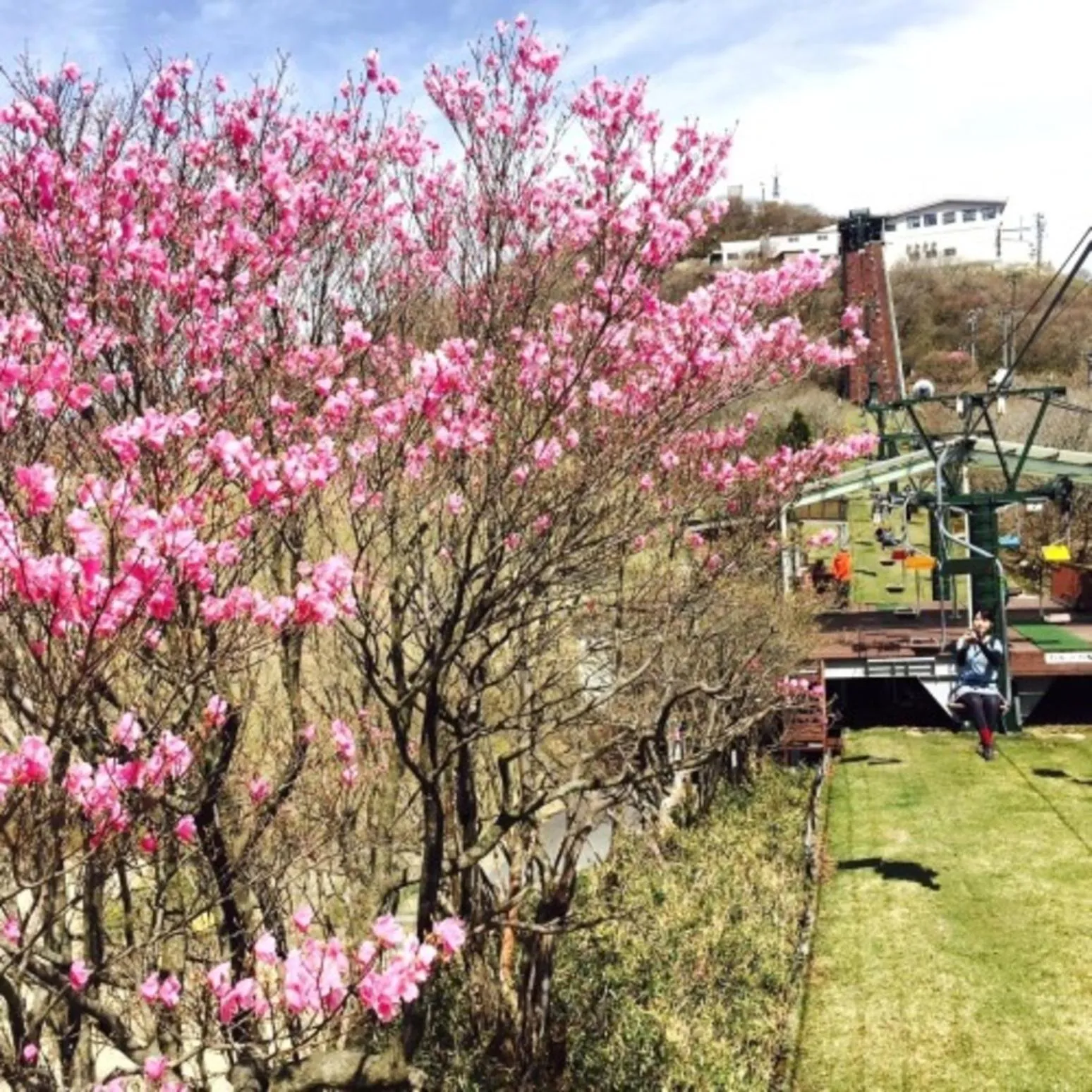 Spring in Hotel Yunomoto