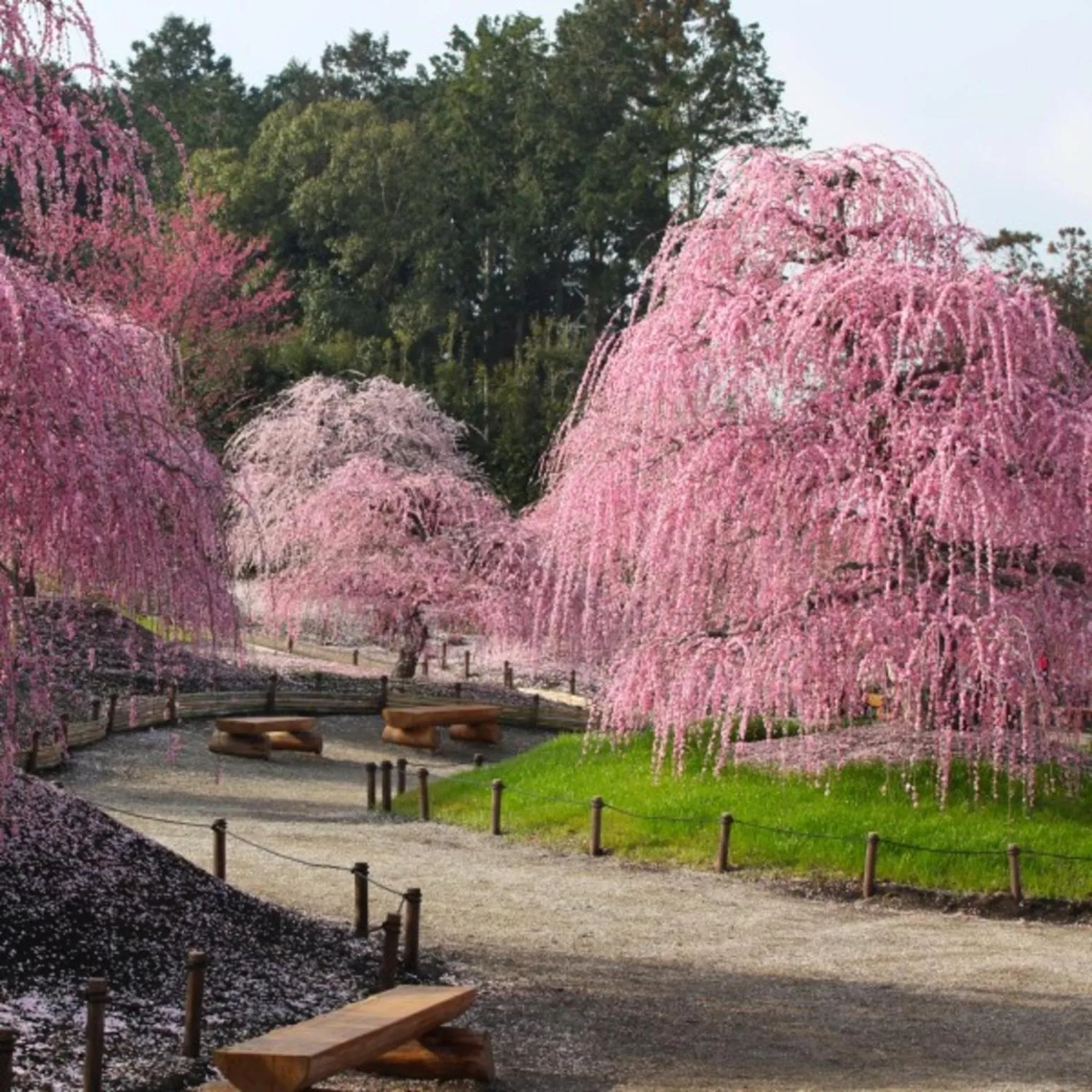 Nearby landmark in Hotel Yunomoto