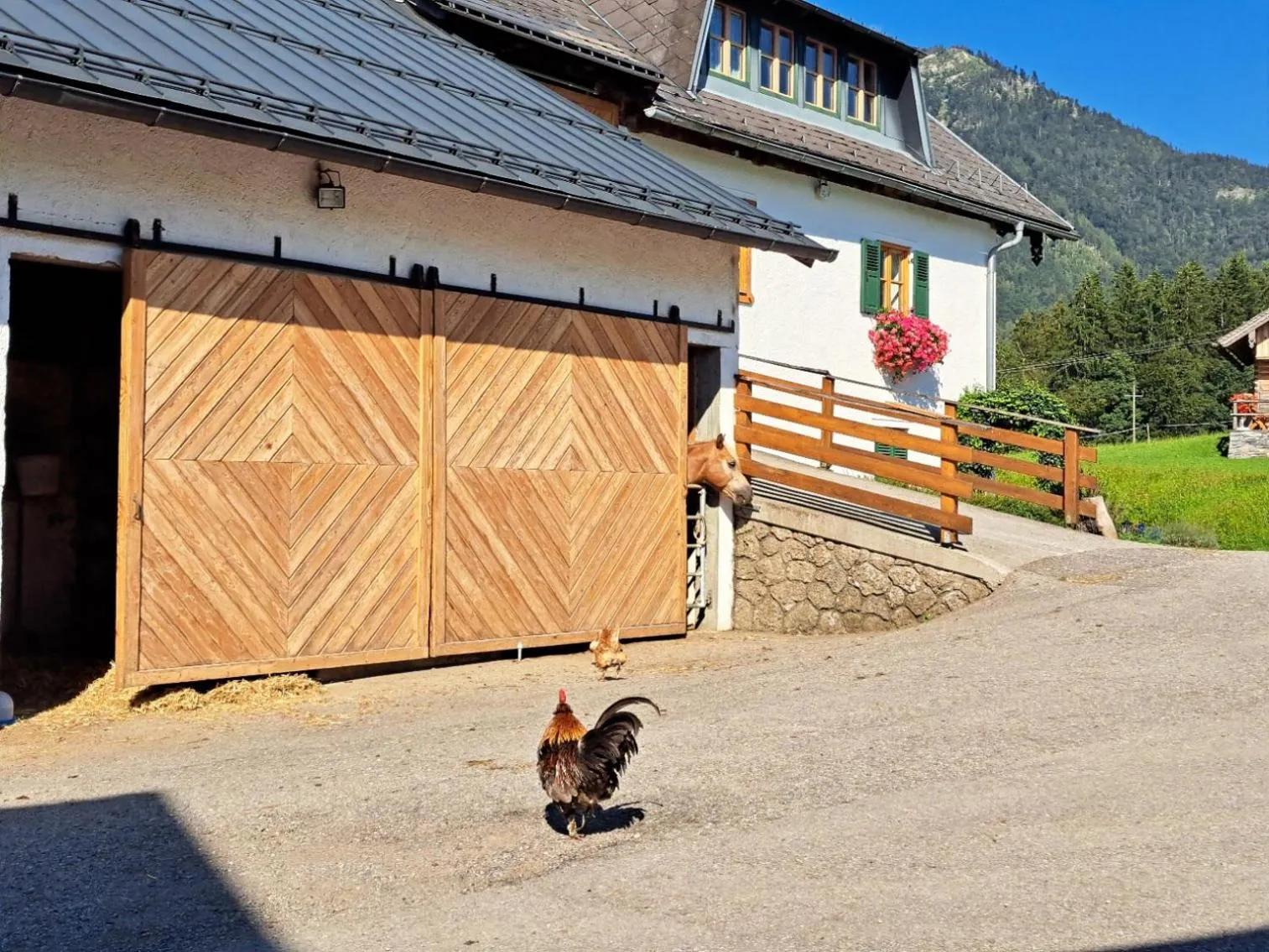 Ferienhof Brunbacher Wolfgangsee