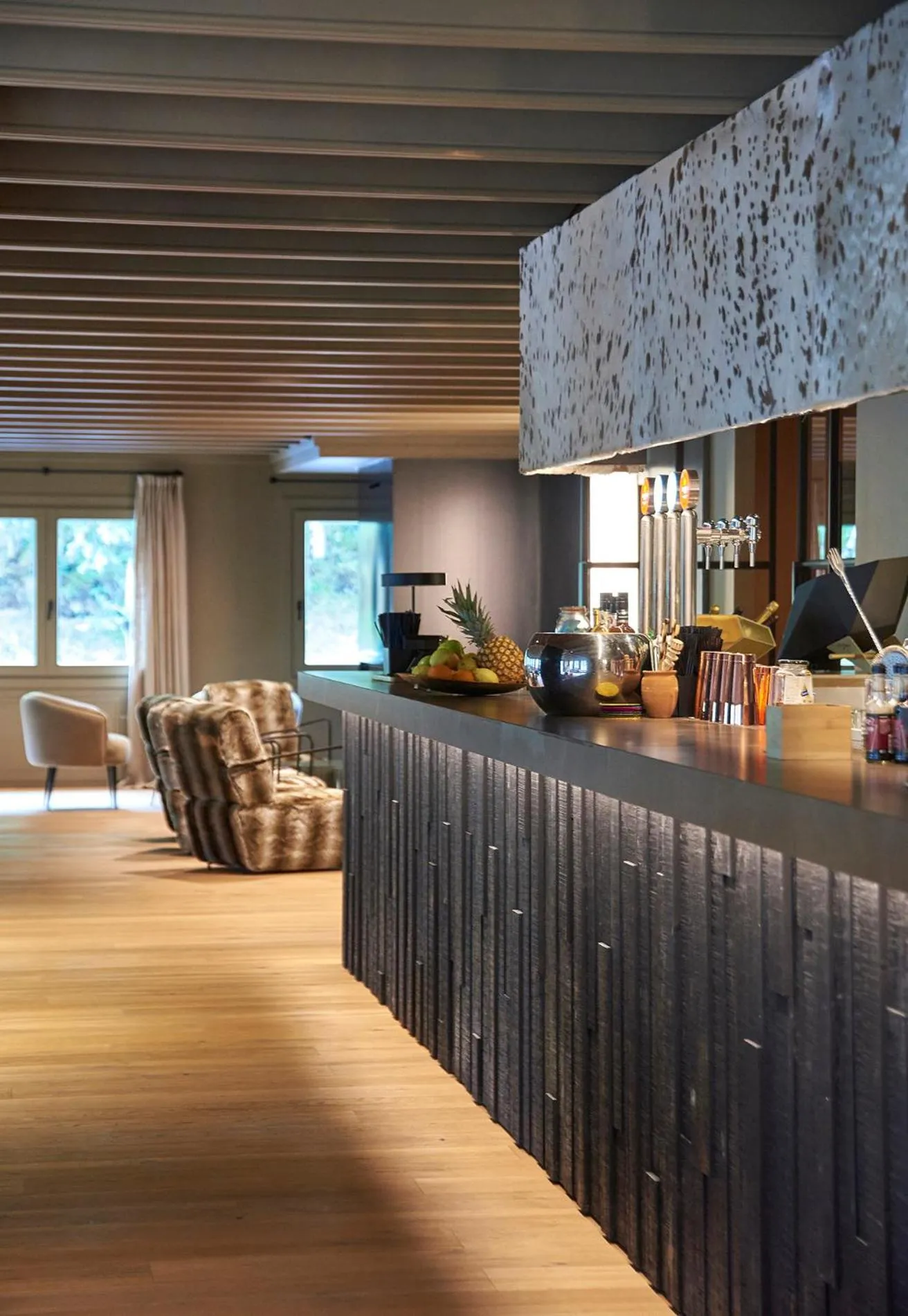 Lounge or bar in Serras Andorra