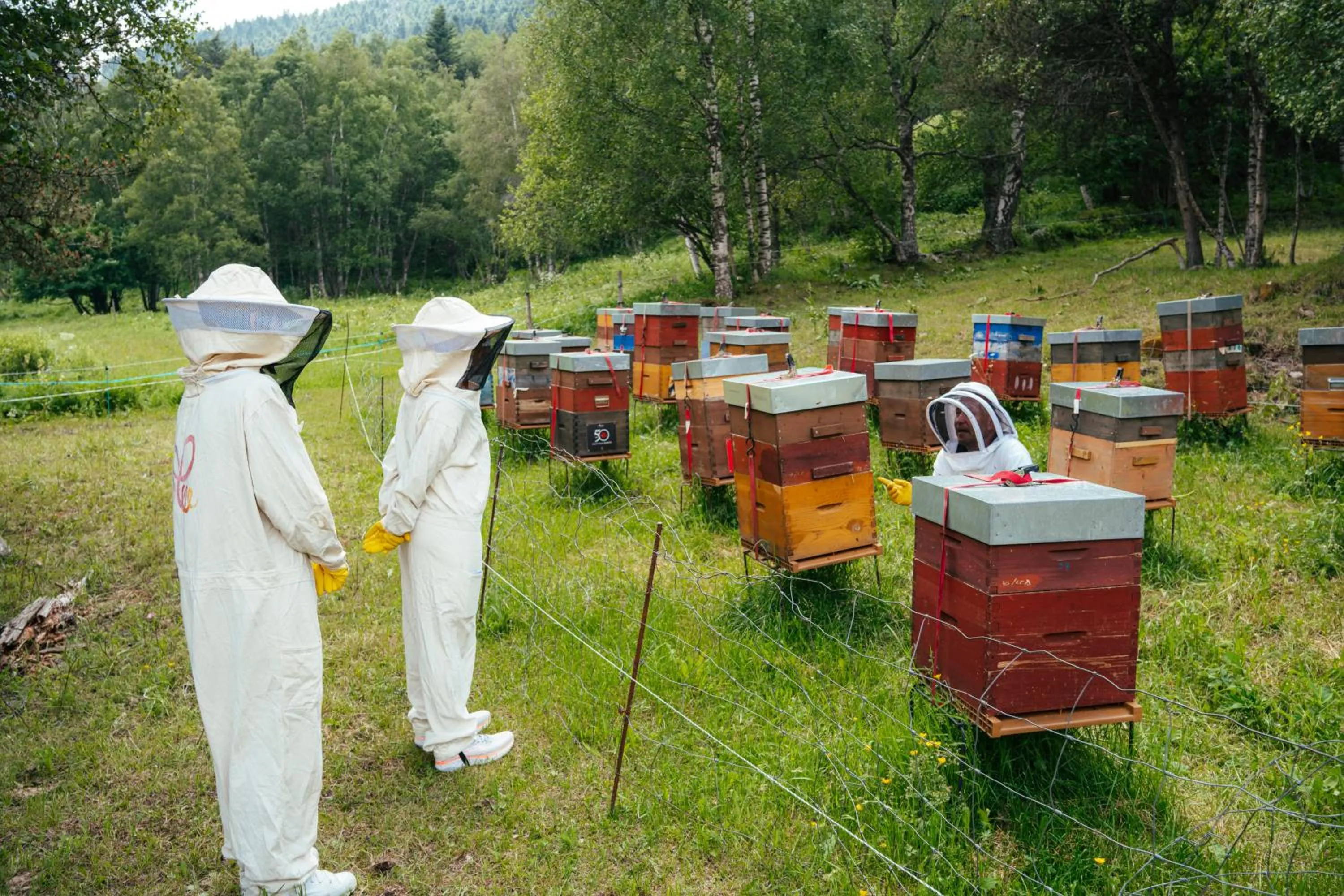 Natural landscape in Serras Andorra