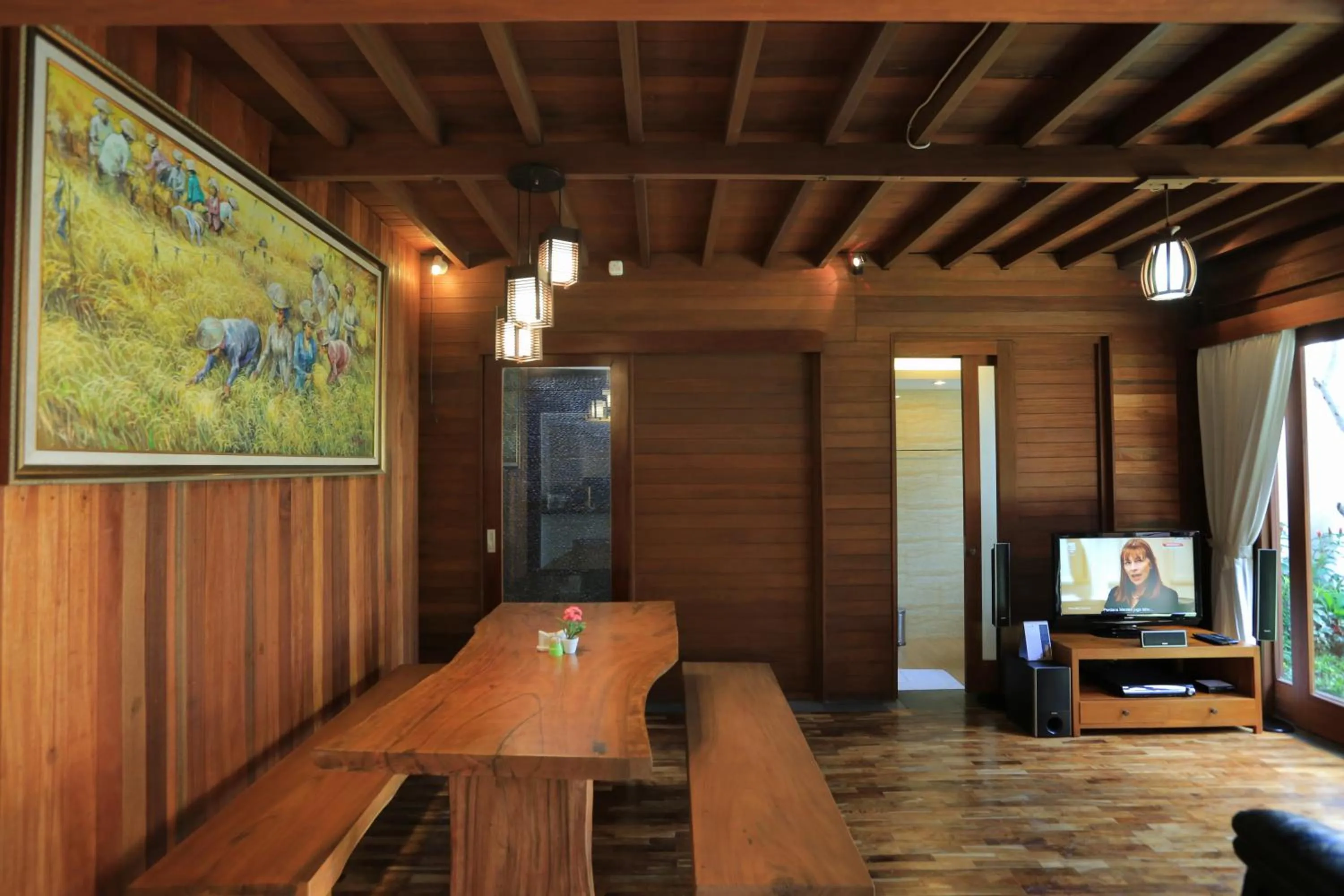 TV and multimedia in Raja Woods Villa