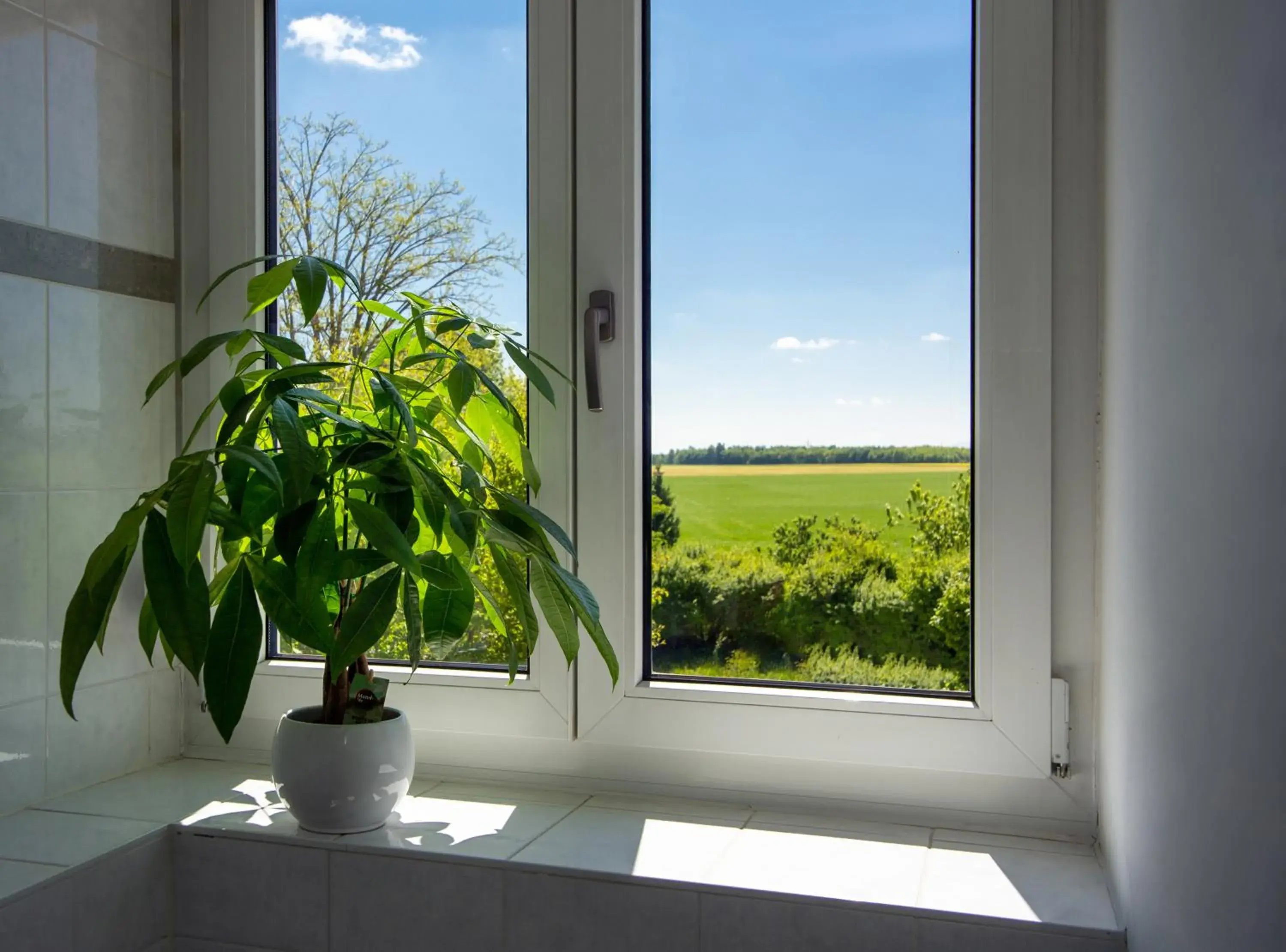 View (from property/room) in Arcus Hotel München Messe View (from property/room) in Arcus Hotel München Messe