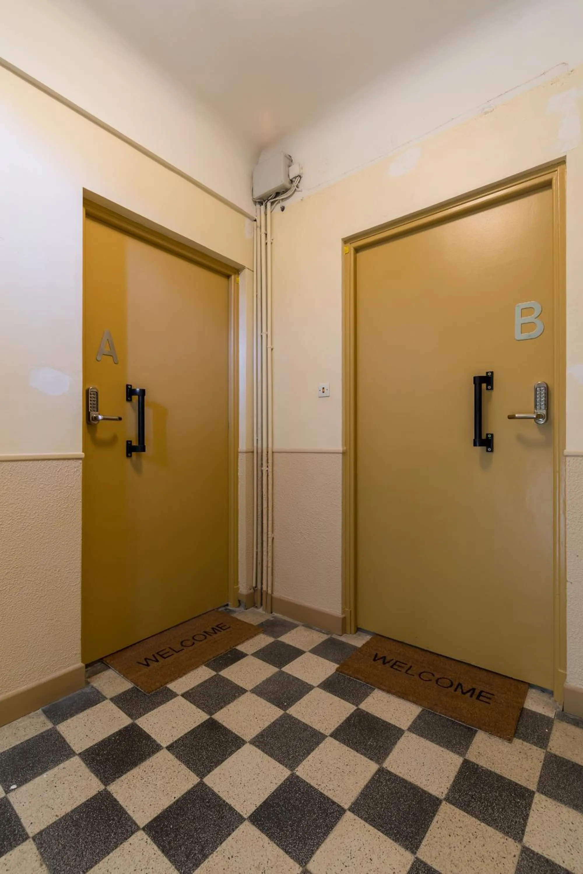 Area and facilities in Palais Saint Pierre