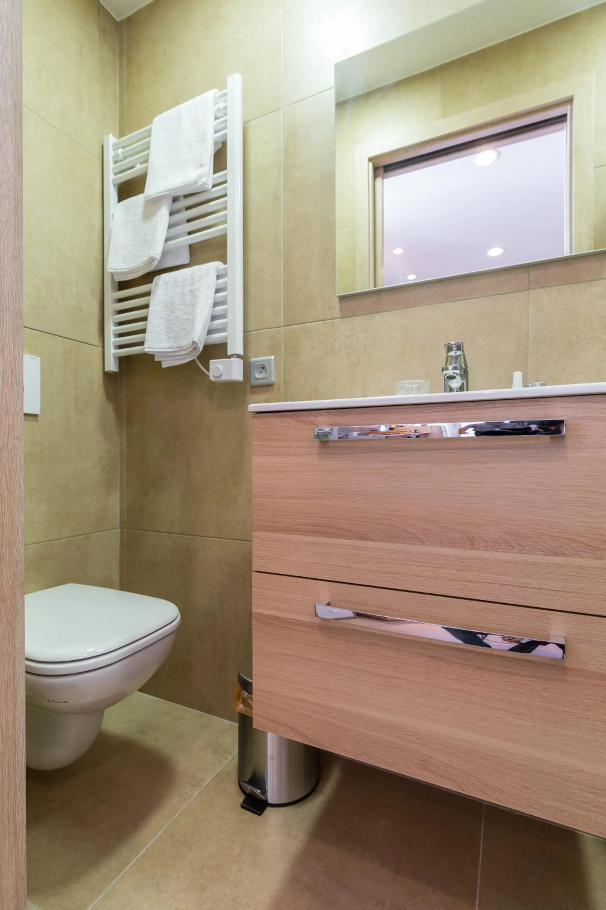 Toilet in Palais Saint Pierre