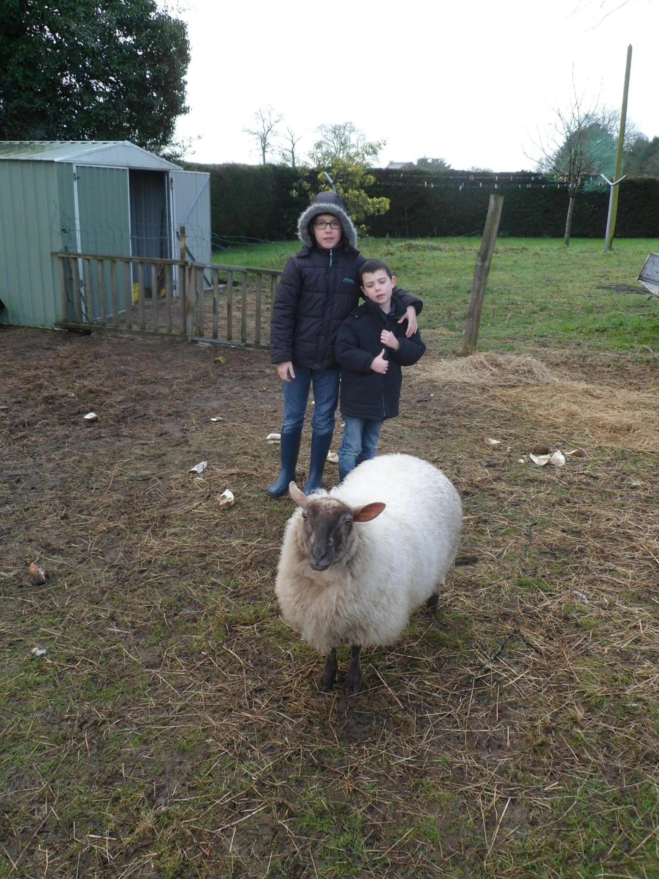 Pets in Farmhouse in an amazing private park